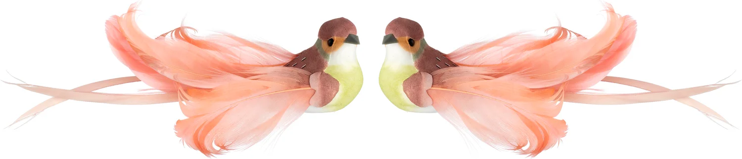 Intratuin paasclip vogel roze 16 x 4 x 4 cm