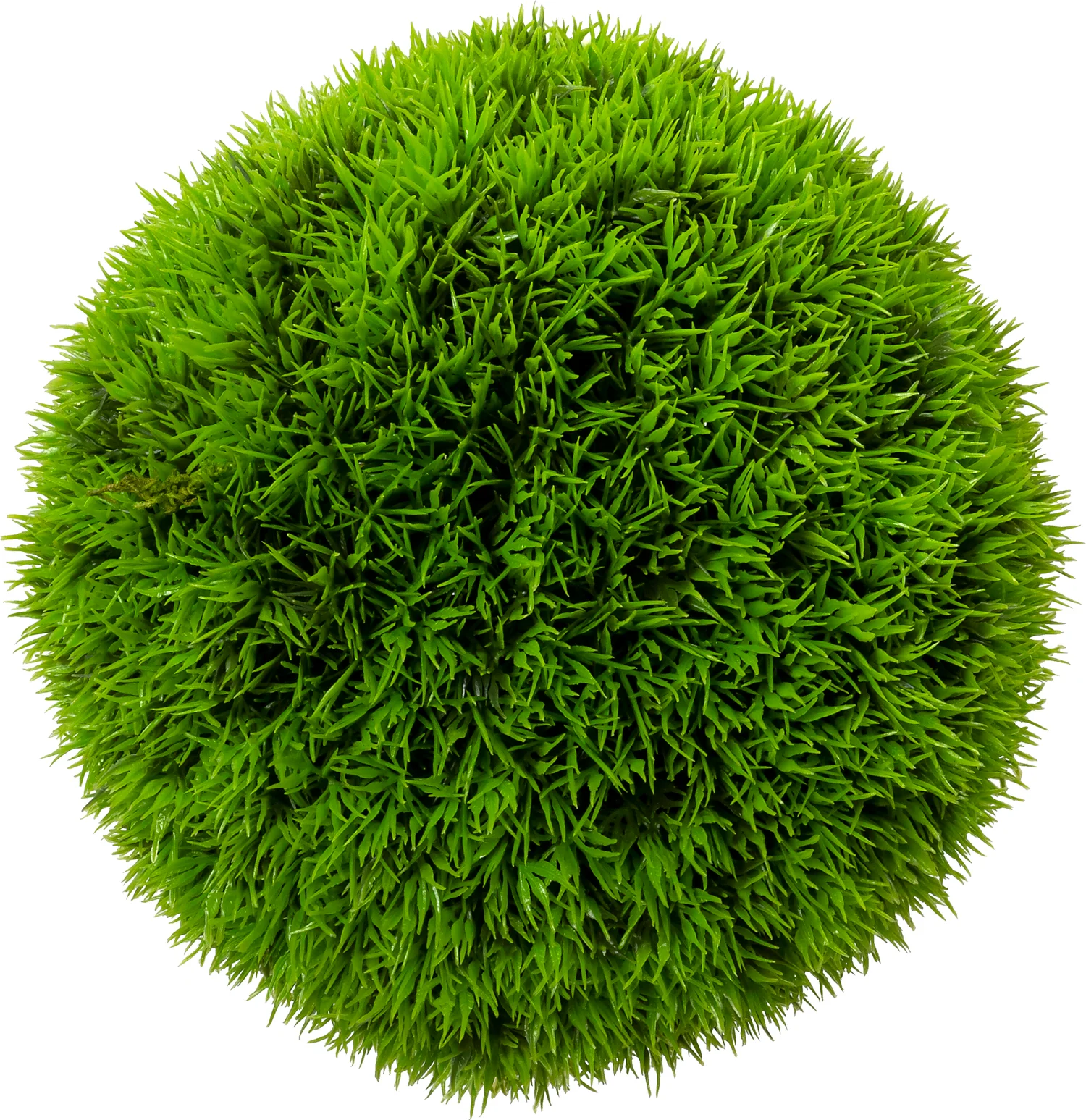 Intratuin kunstplant Buxus licht groen 17 x 17 x 17 cm