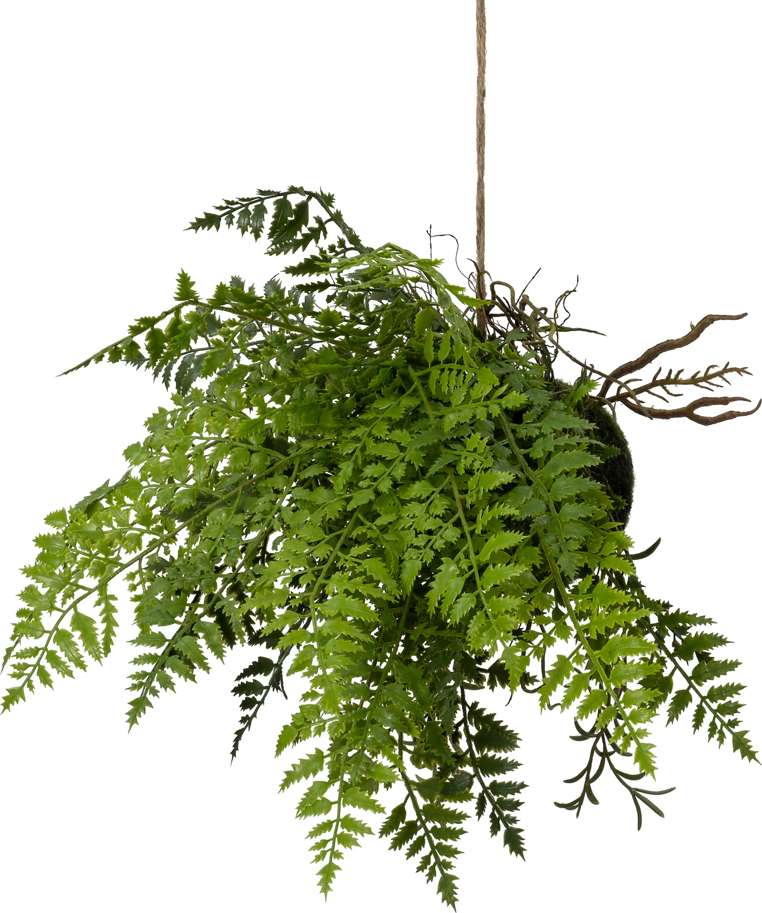 Intratuin kunsthangplant Varen in mosbal groen 40 x 40 x 70 cm