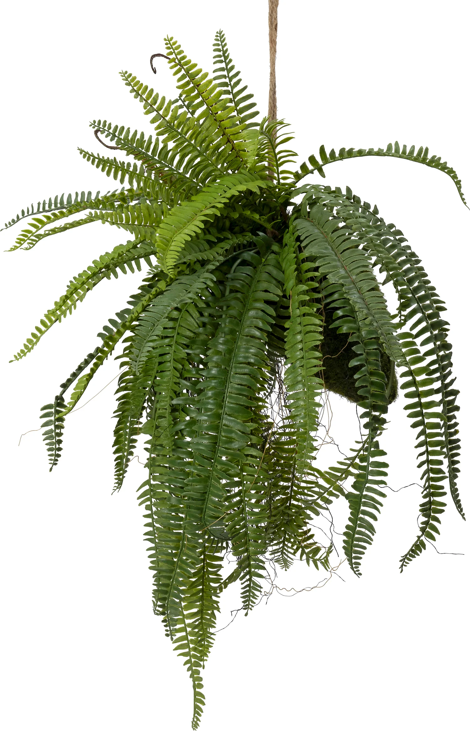 Intratuin kunsthangplant Varen in mosbal groen 50 x 50 x 80 cm