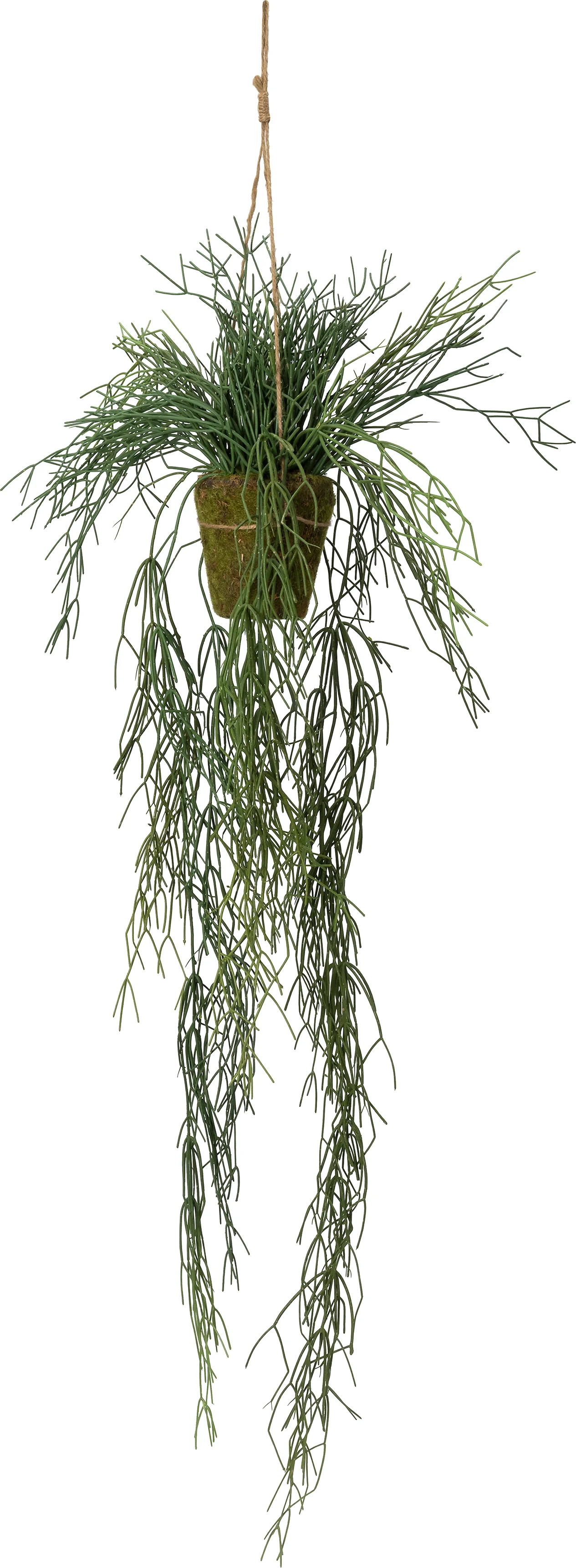 Intratuin kunsthangplant Koraalcactus groen 50 x 40 x 140 cm