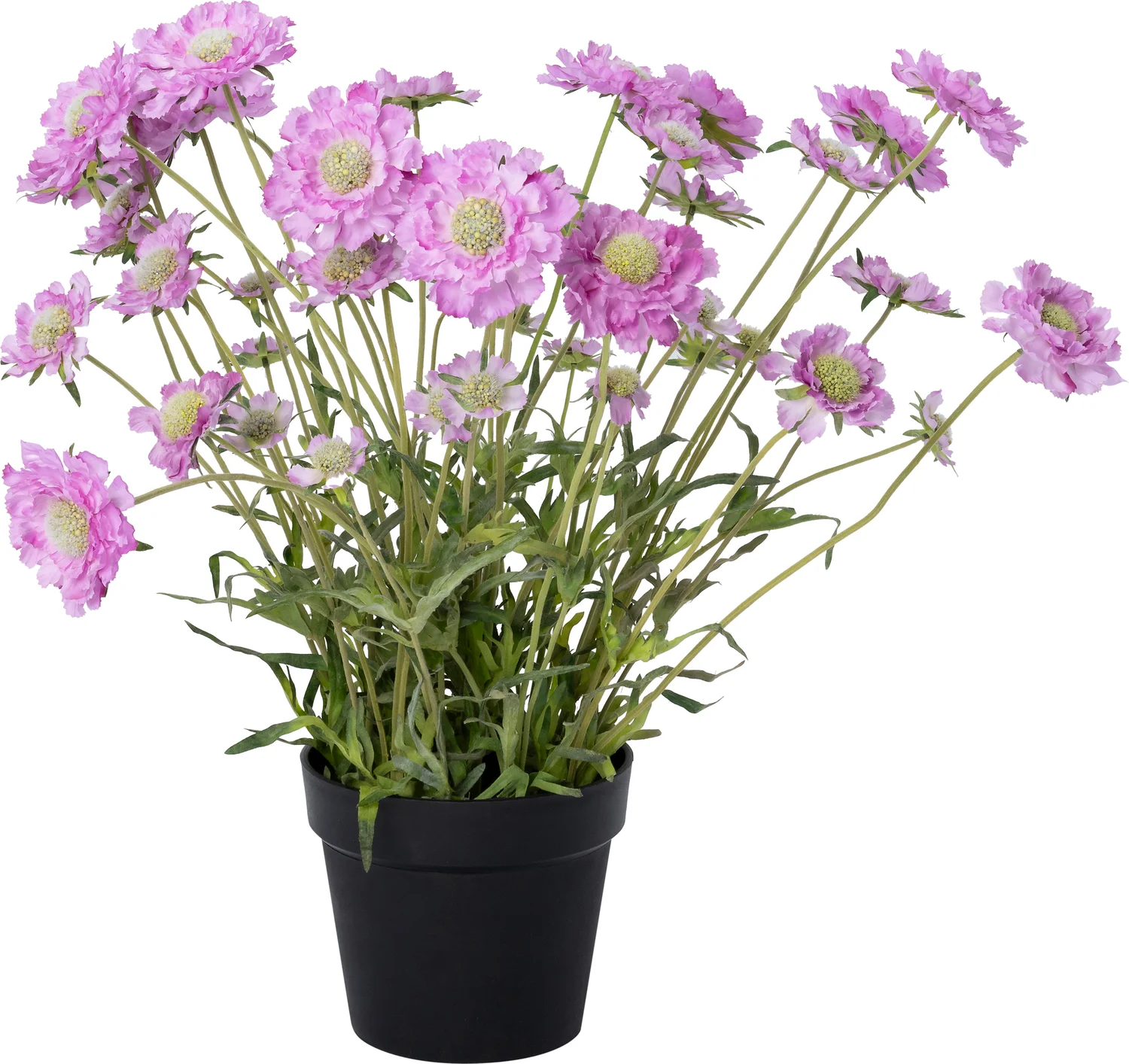 Intratuin kunstplant Cosmea roze 20 x 20 x 62 cm