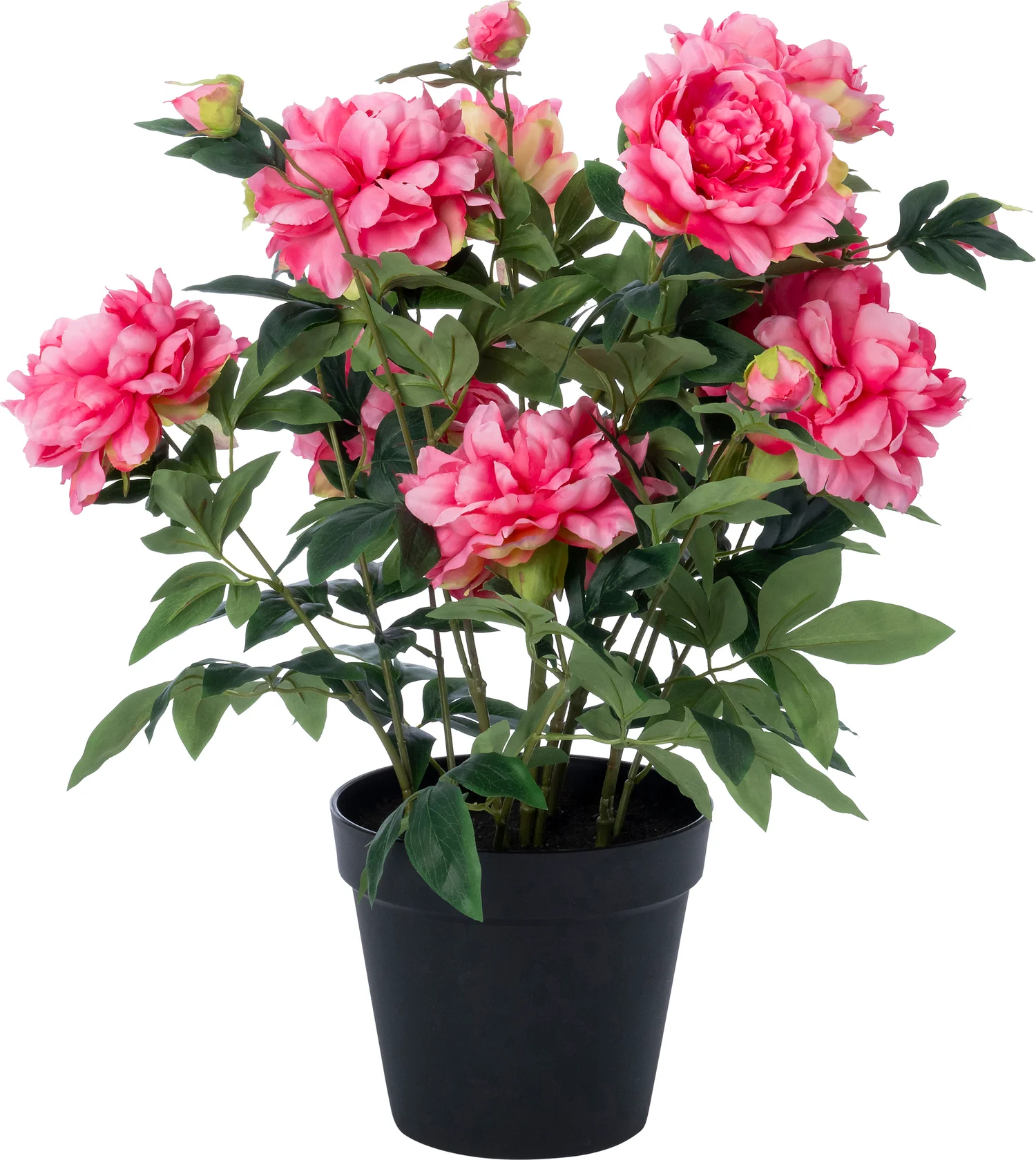 Intratuin kunstplant Pioenroos roze 20 x 20 x 70 cm