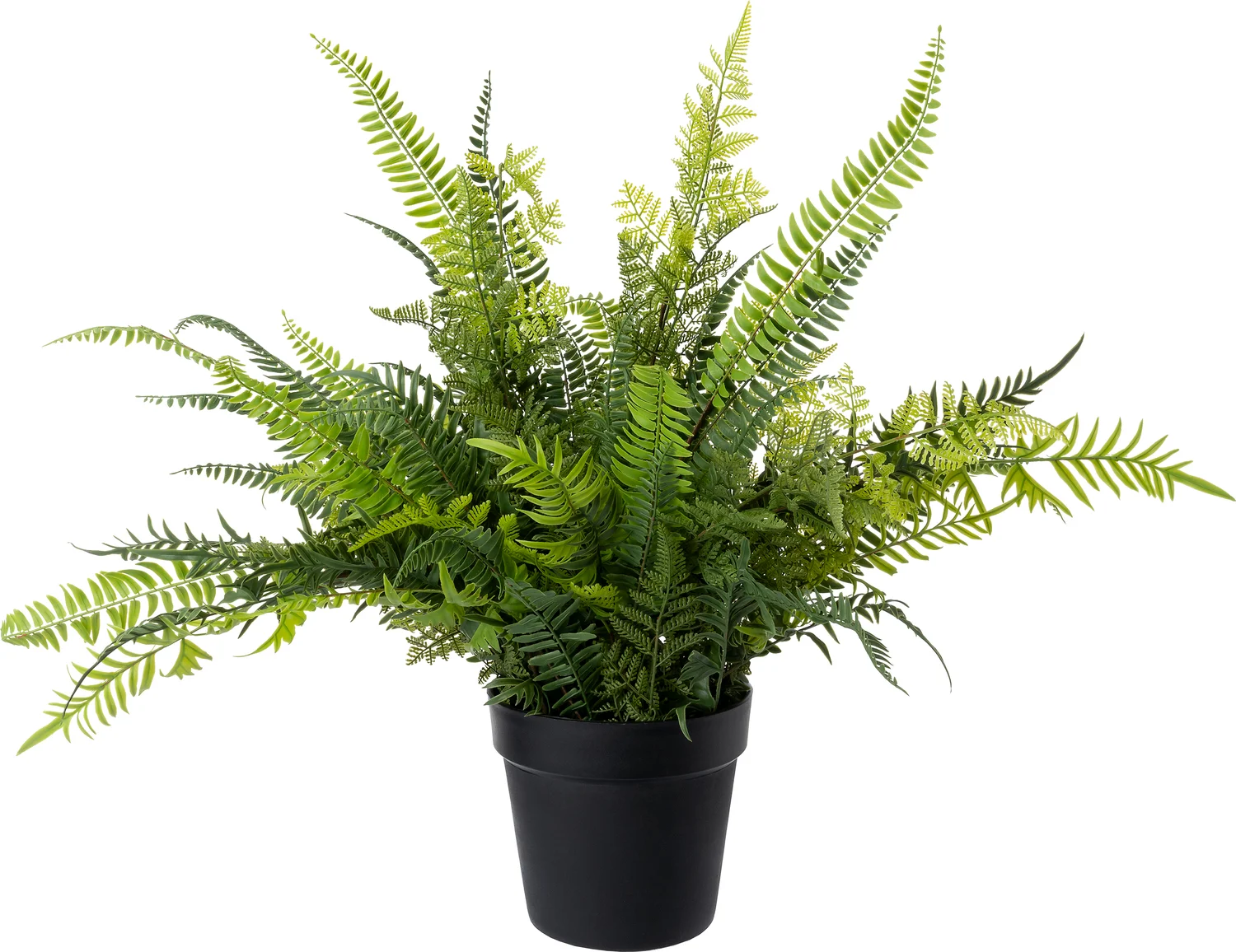 Intratuin kunstplant Varen 10 x 20 x 20 cm