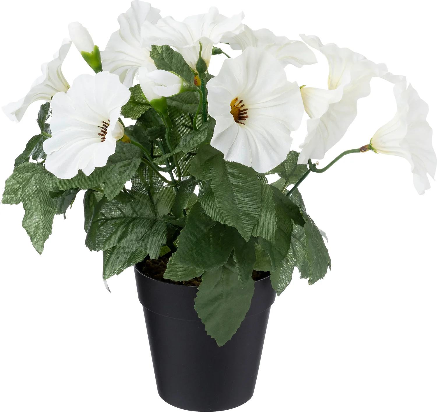 Intratuin kunstplant Klimmende Winde wit 9 x 9 x 26 cm