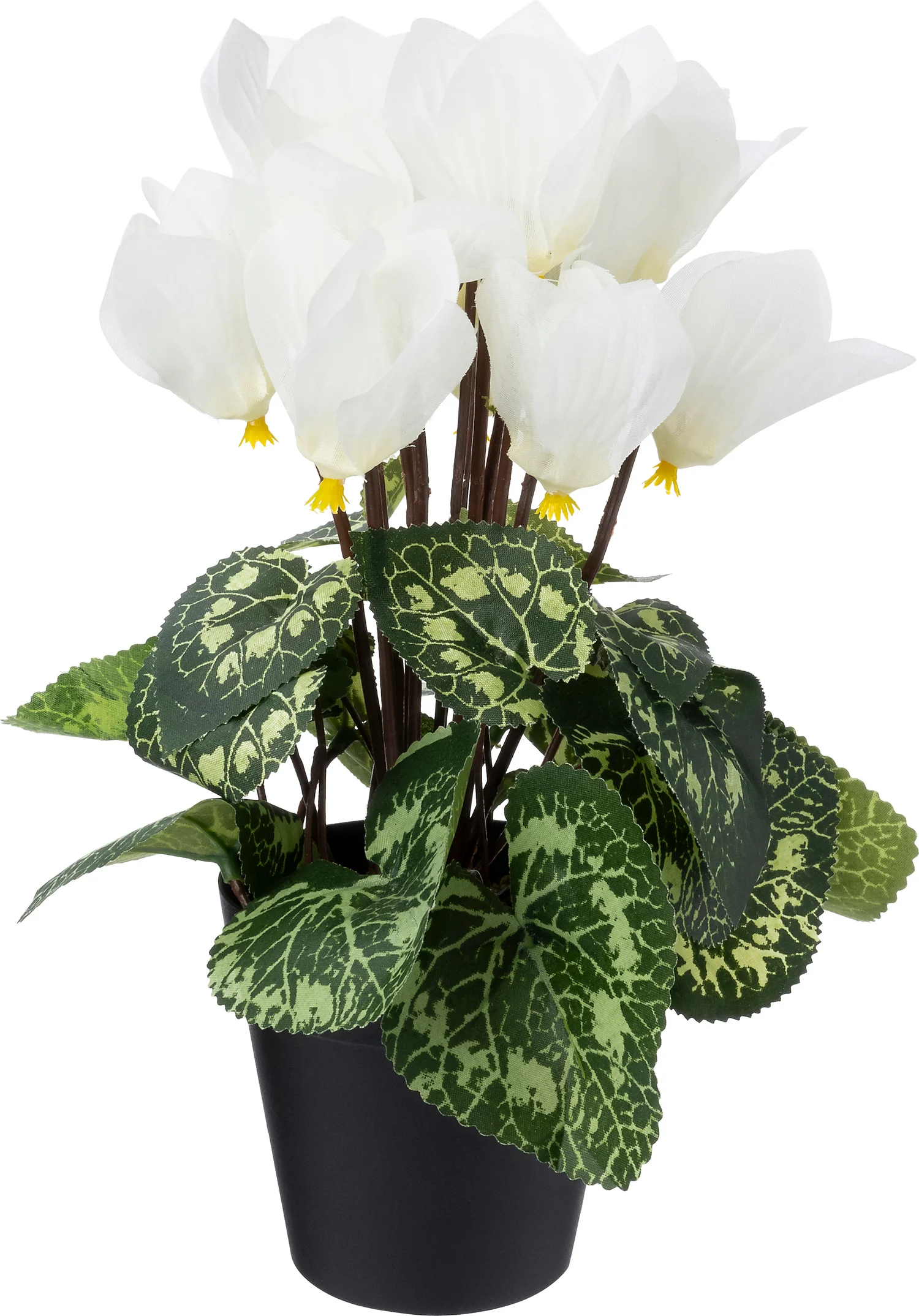 Intratuin kunstplant Cyclaam crème 9 x 9 x 28 cm