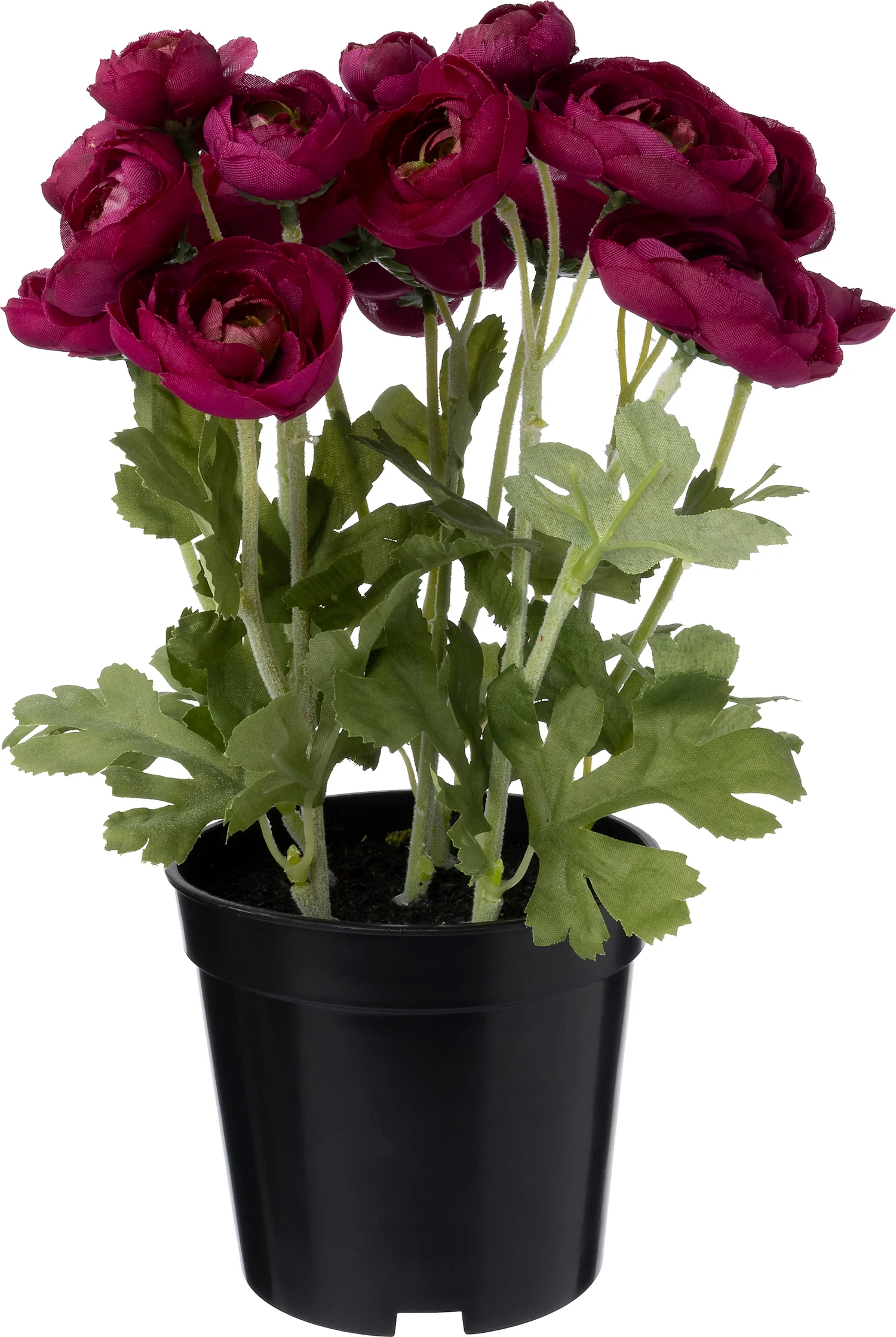 Intratuin kunstplant Ranonkel donker rood 11 x 11 x 26 cm
