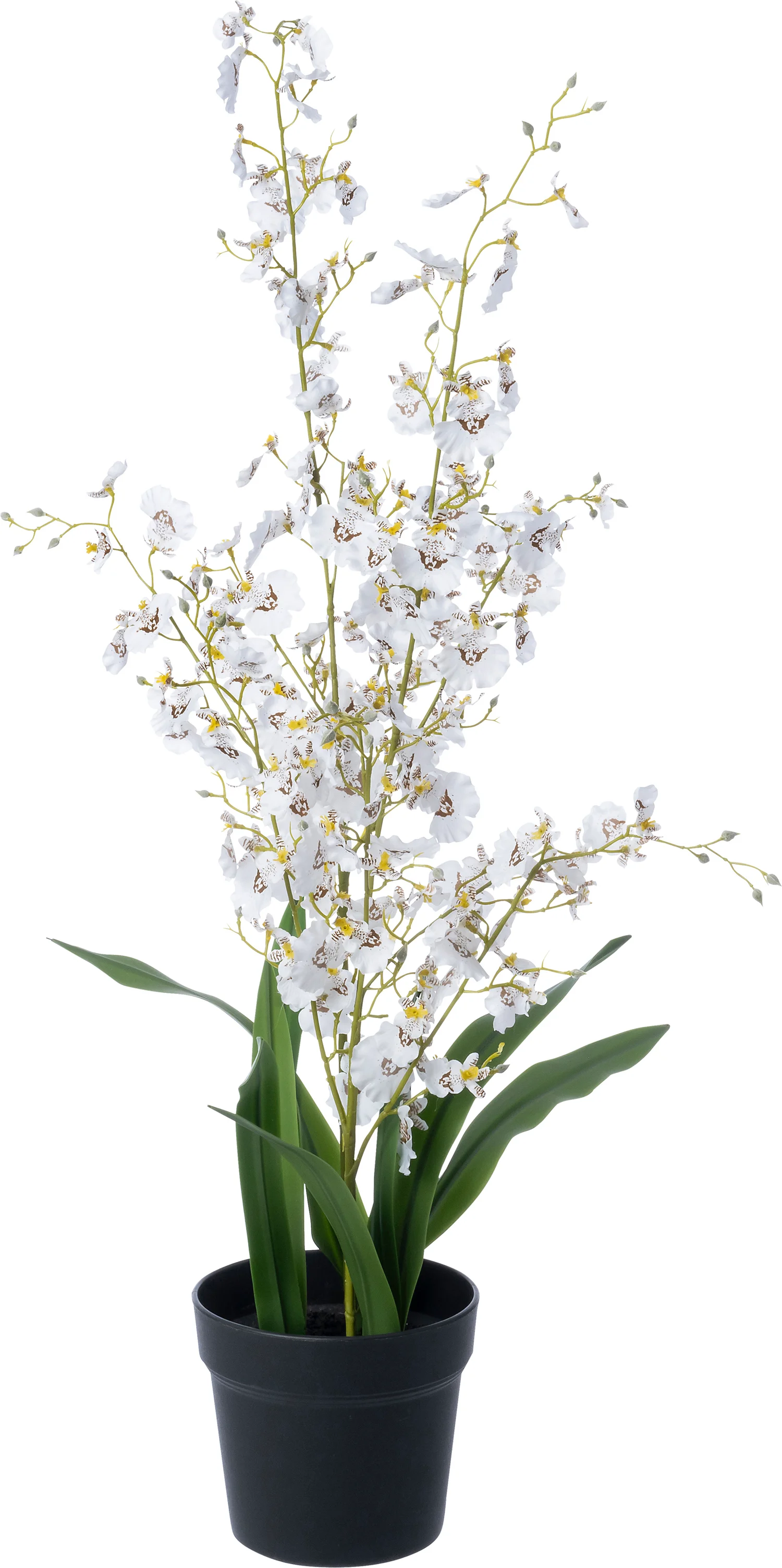 Intratuin kunstplant Tijgerorchidee wit 15 x 15 x 90 cm