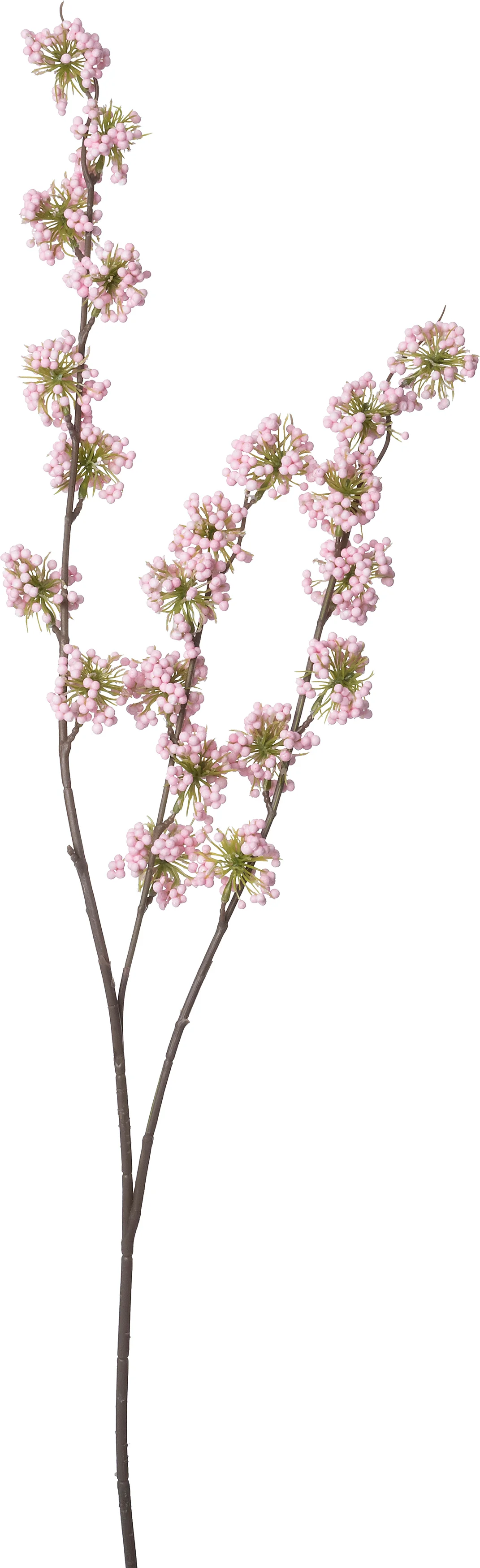 Intratuin kunsttak Schoonvrucht roze 102 cm