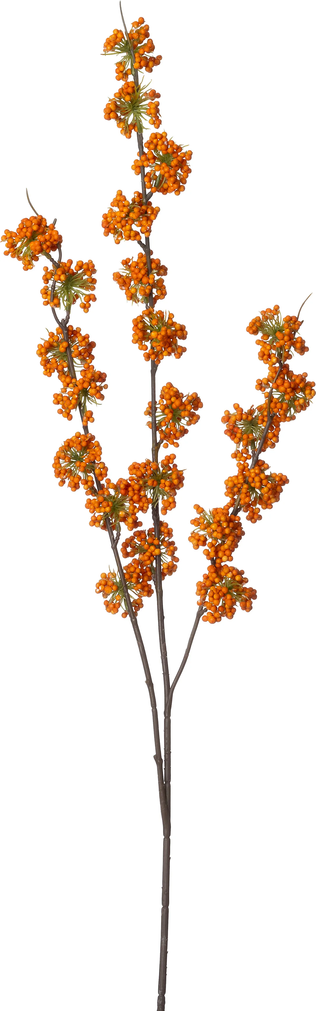 Intratuin kunsttak Schoonvrucht oranje 102 cm