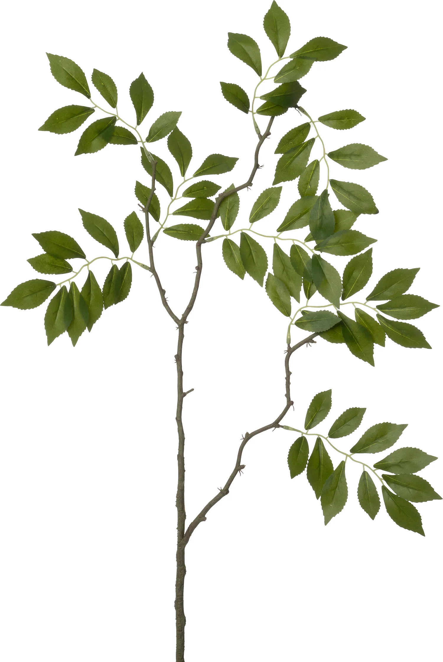 Intratuin kunsttak Es groen H 75 cm