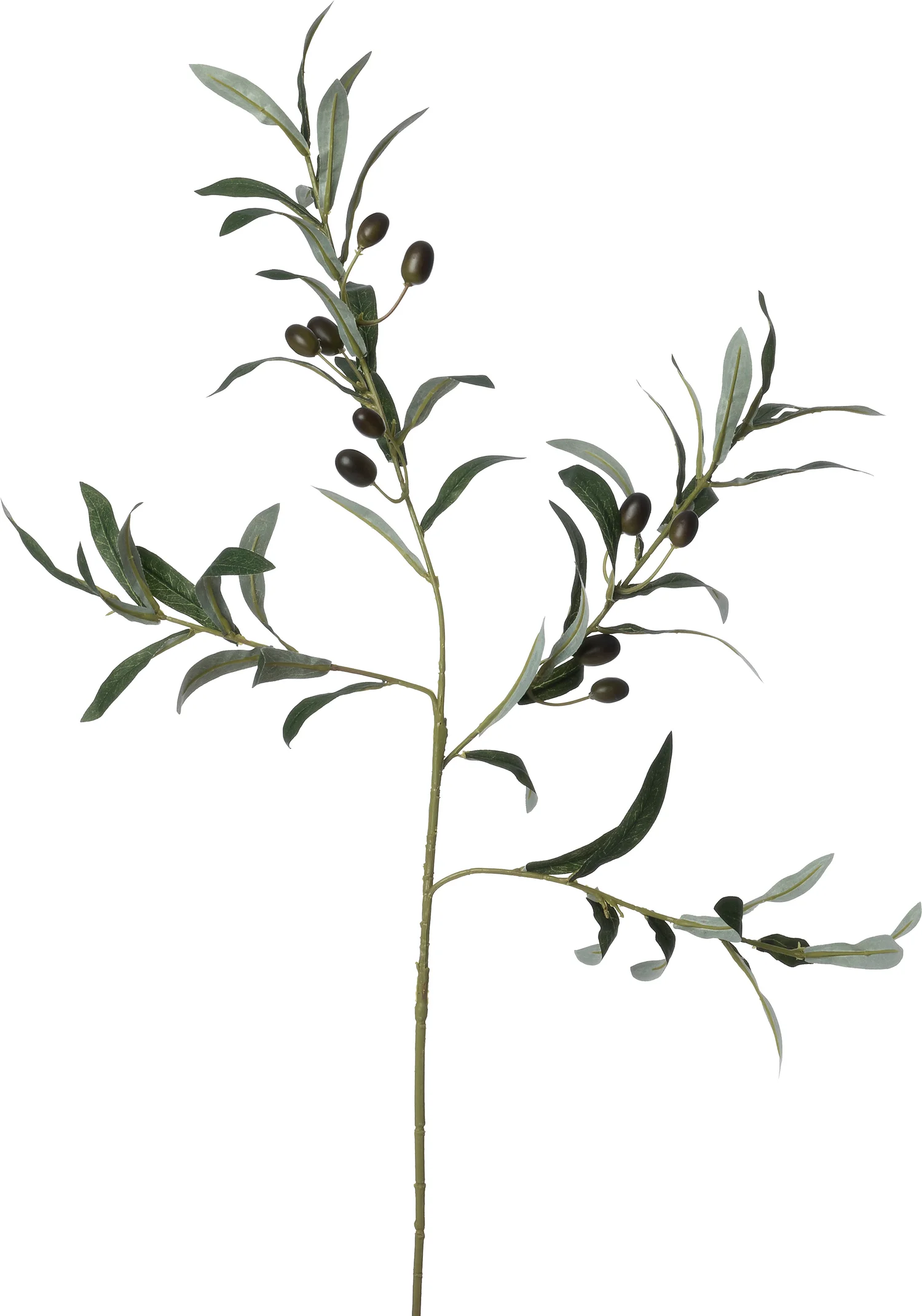 Intratuin kunsttak Olijf groen H 74 cm