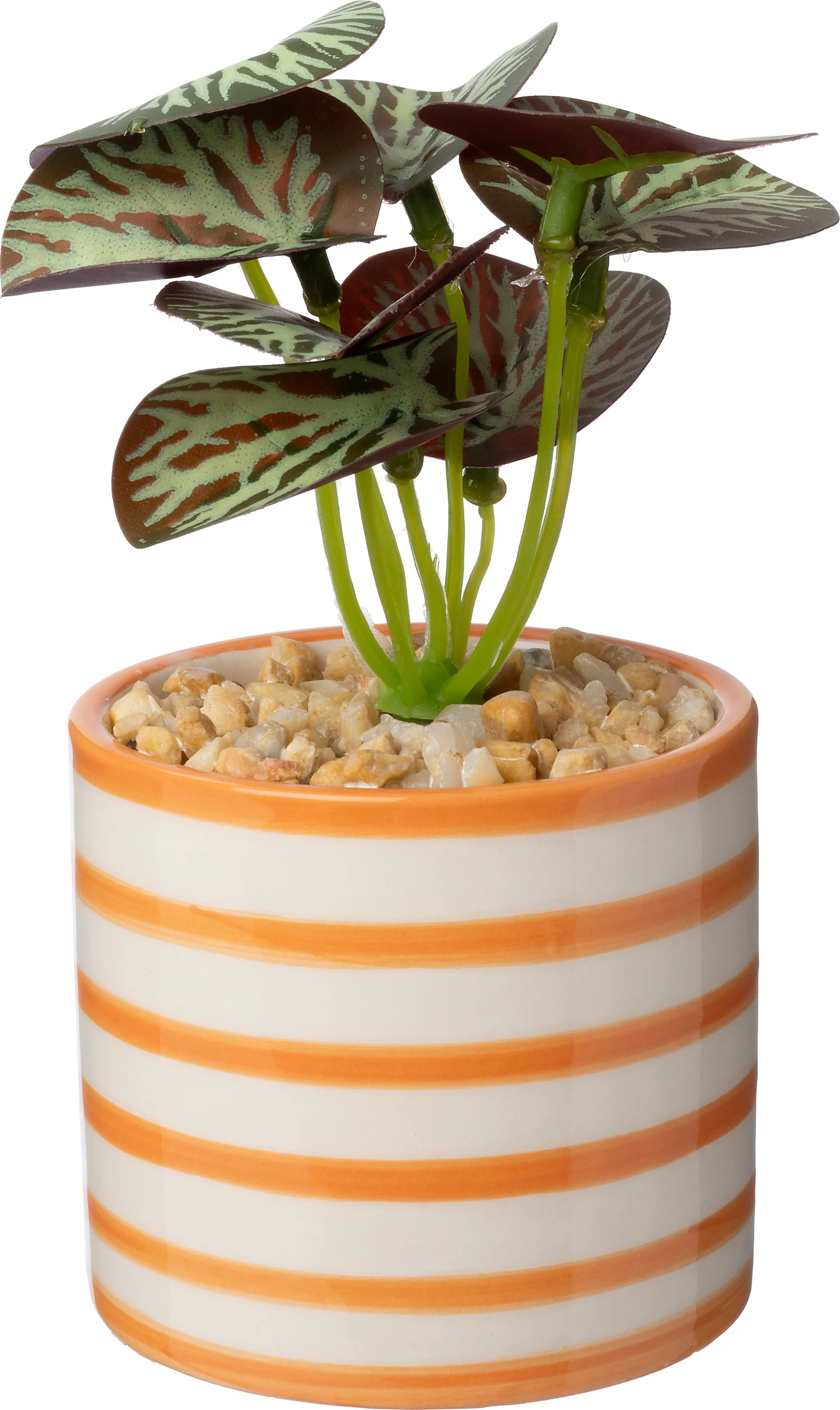 Intratuin kunstplant Mini Peperomia oranje 10 x 7 x 13 cm