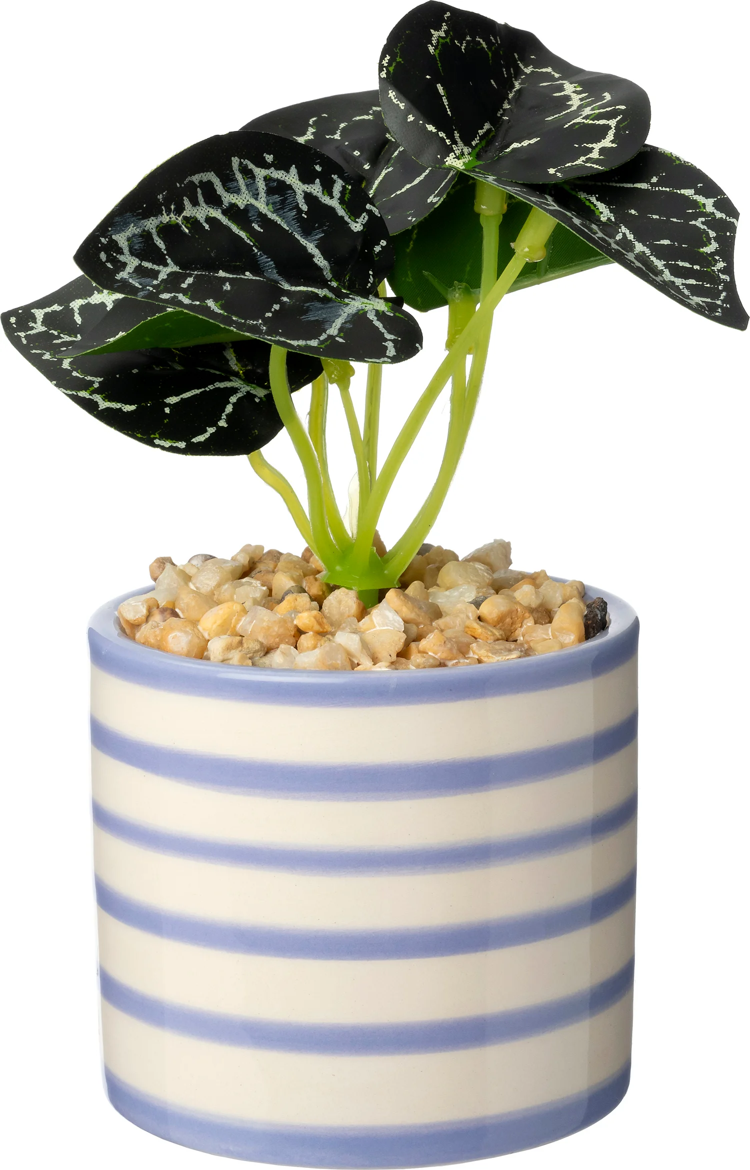 Intratuin kunstplant Mini Peperomia paars 10 x 7 x 13 cm