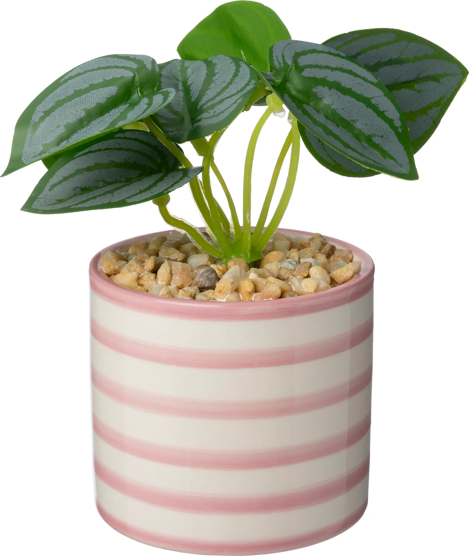 Intratuin kunstplant Mini Peperomia roze 10 x 7 x 13 cm