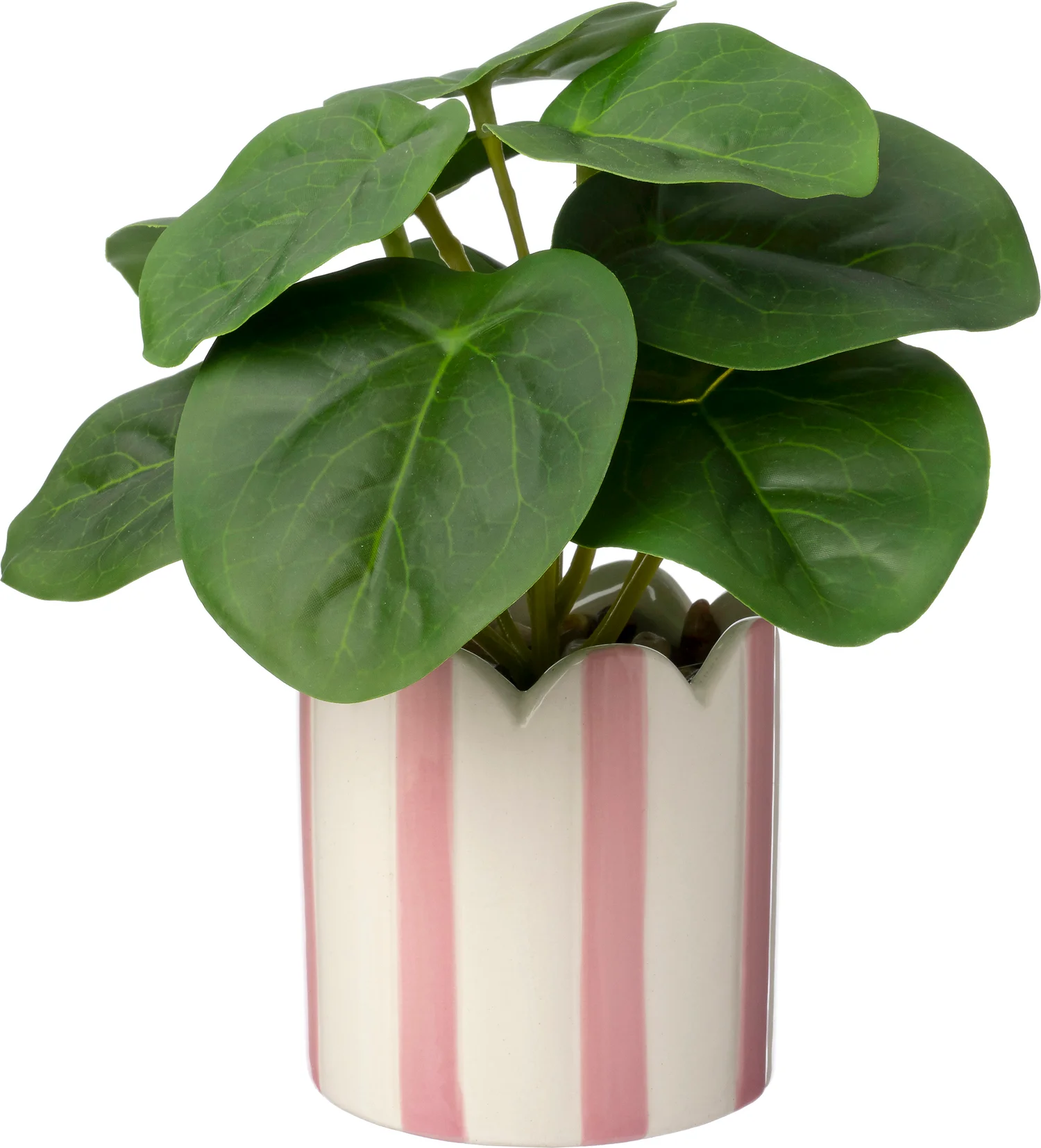 Intratuin kunstplant Peperomia paars 16 x 15 x 16 cm