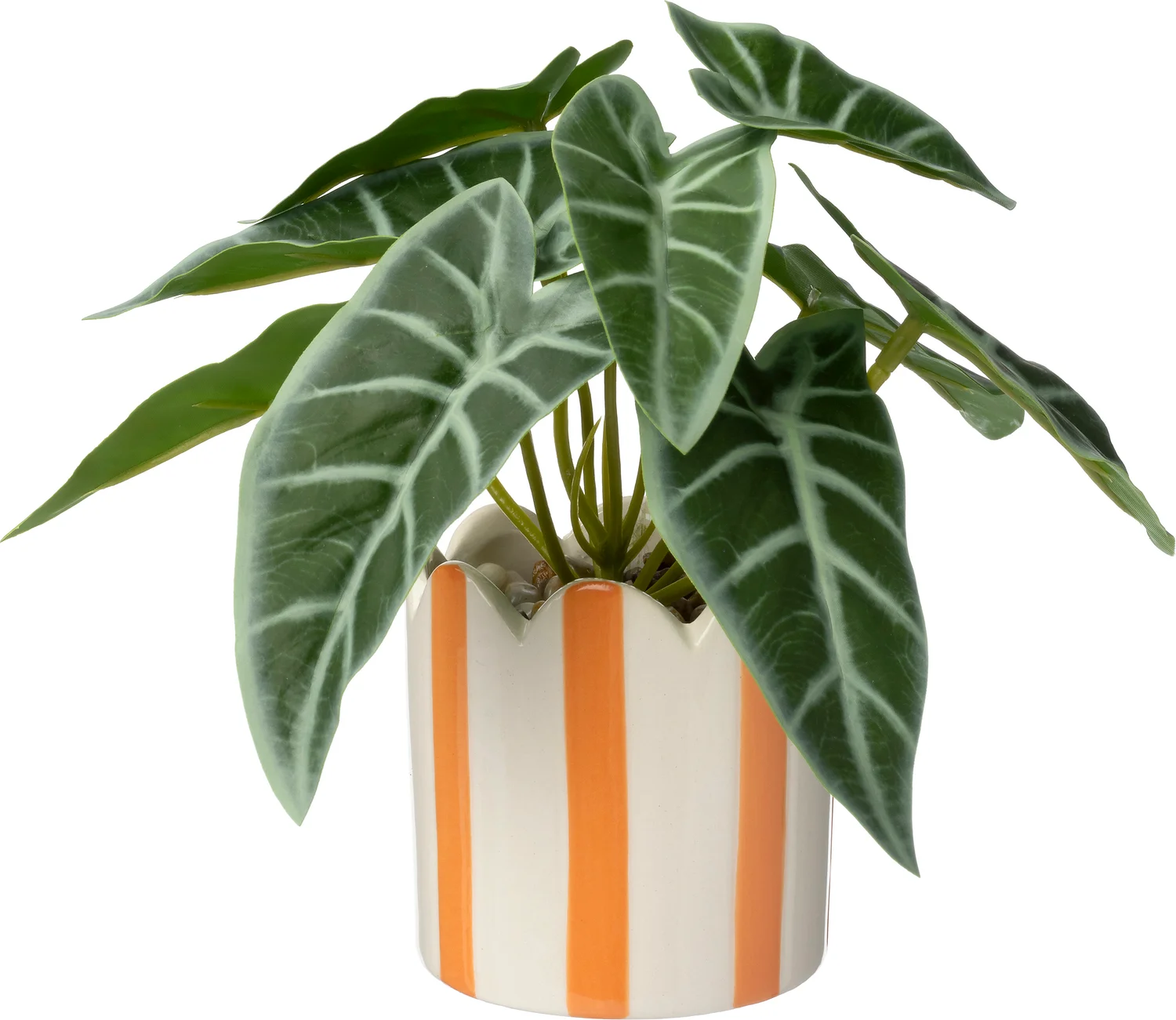Intratuin kunstplant Skeletplant oranje 16 x 15 x 16 cm