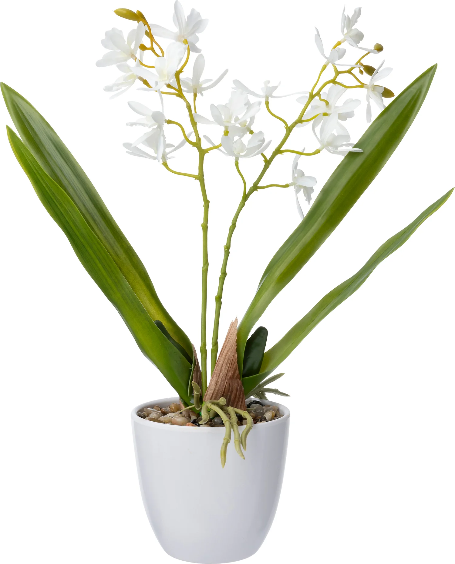 Intratuin kunstplant Vlinderorchidee wit 18 x 15 x 37 cm