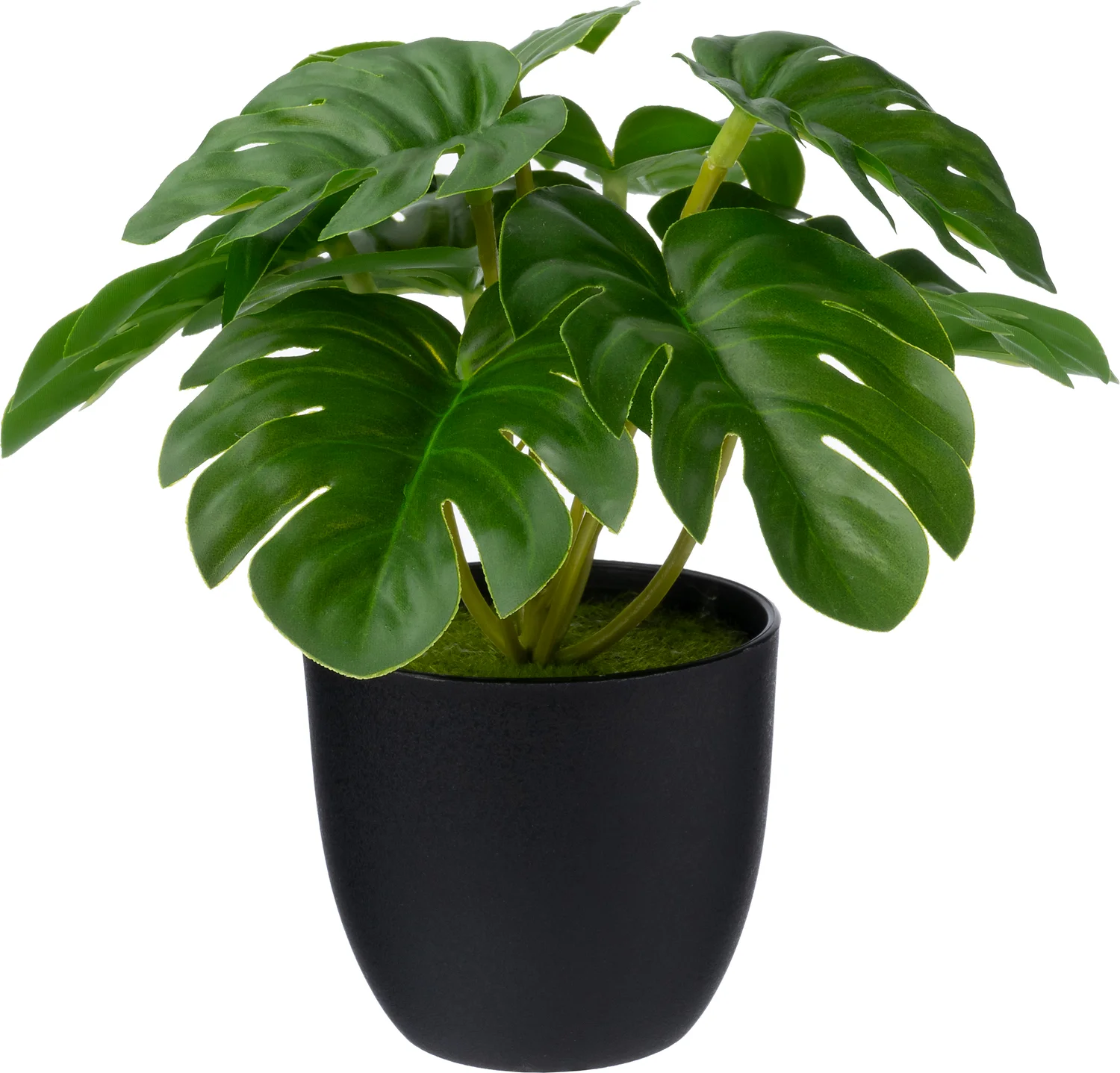 Intratuin kunstplant Gatenplant 16 x 15 x 16 cm