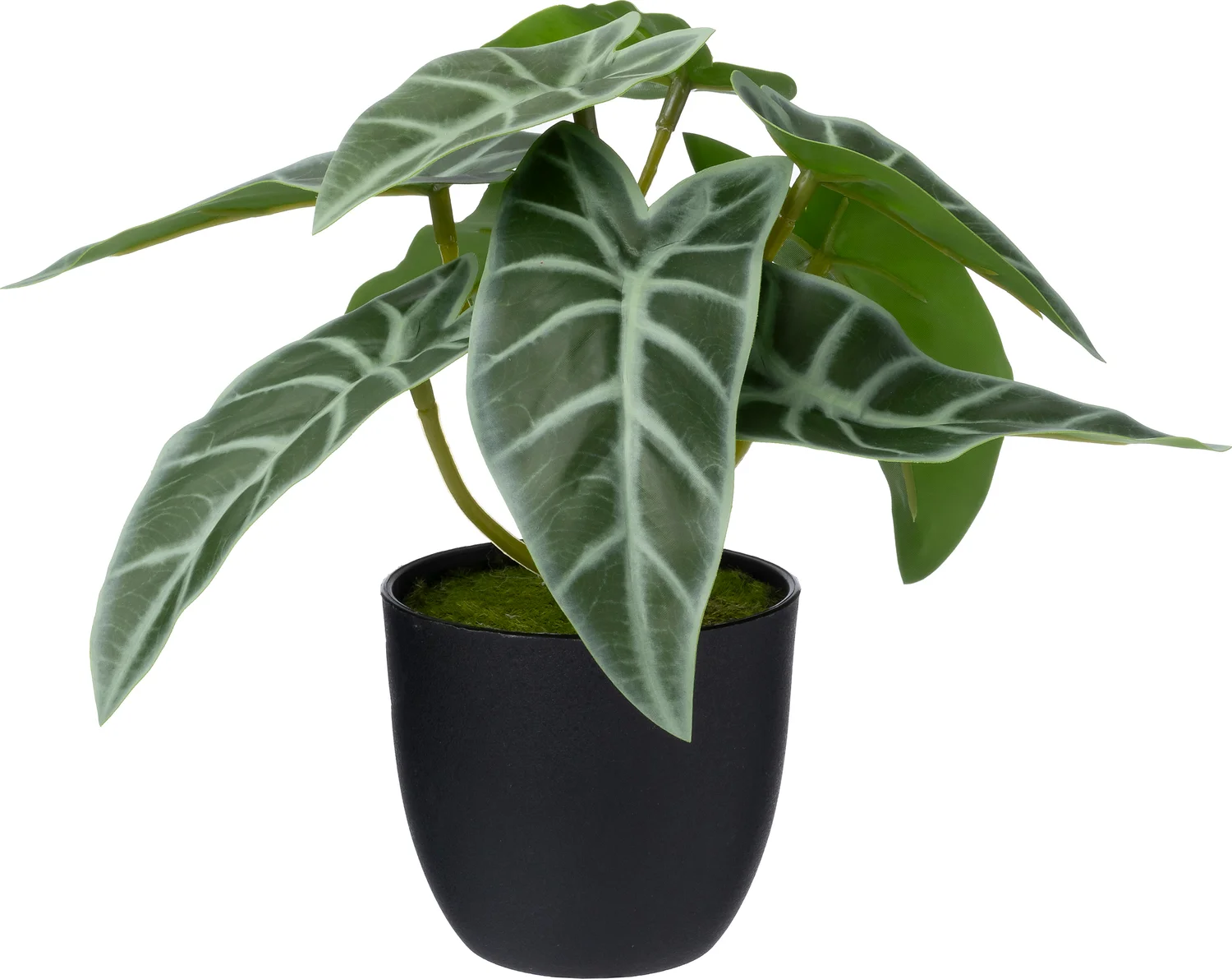Intratuin kunstplant Alocasia 16 x 15 x 16 cm