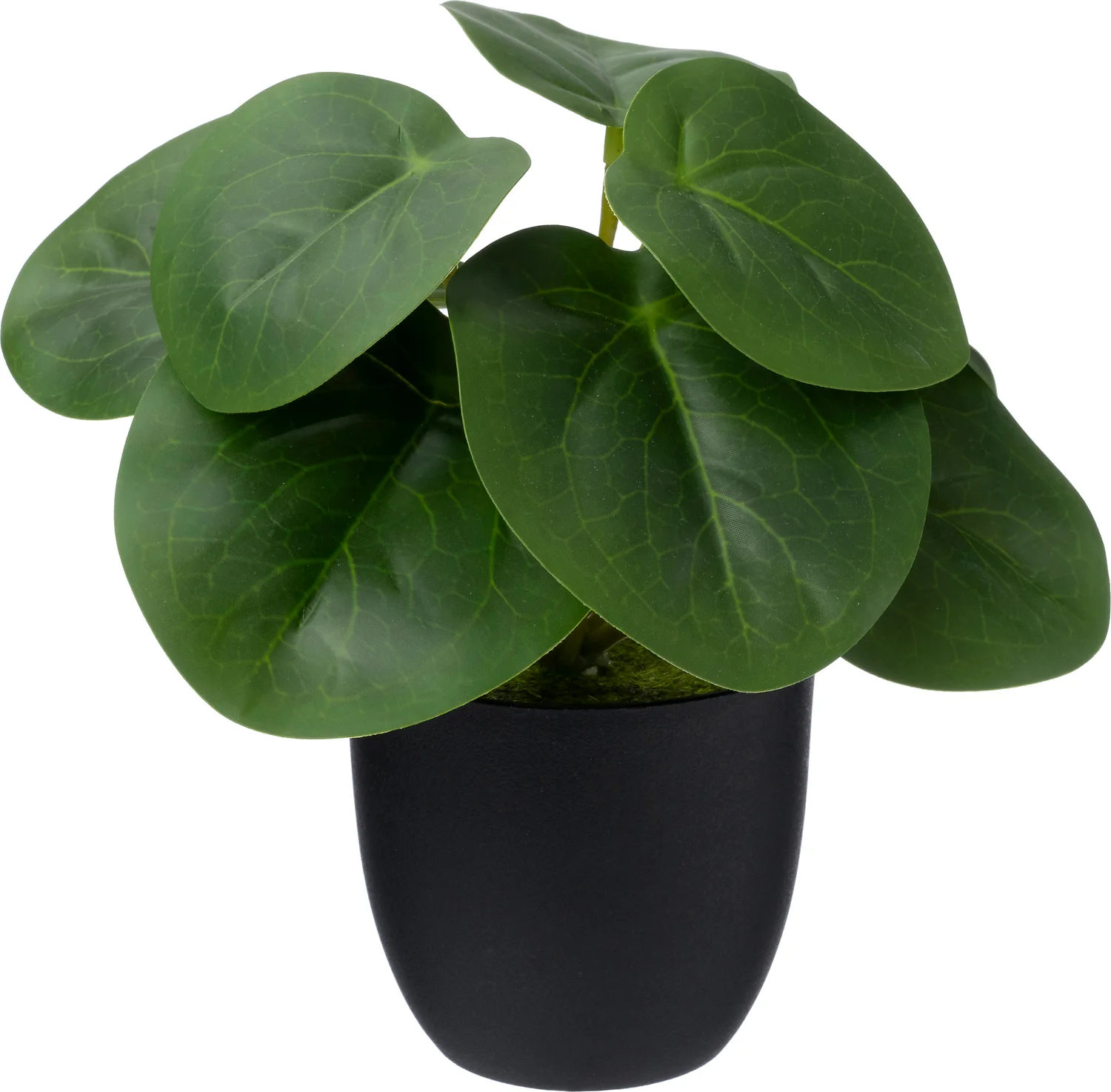 Intratuin kunstplant Peperomia 16 x 15 x 16 cm