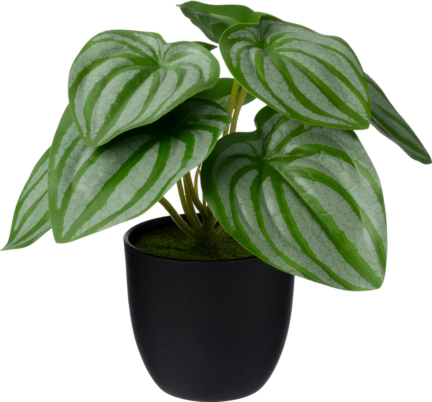 Intratuin kunstplant Calathea groen, grijs 16 x 15 x 16 cm