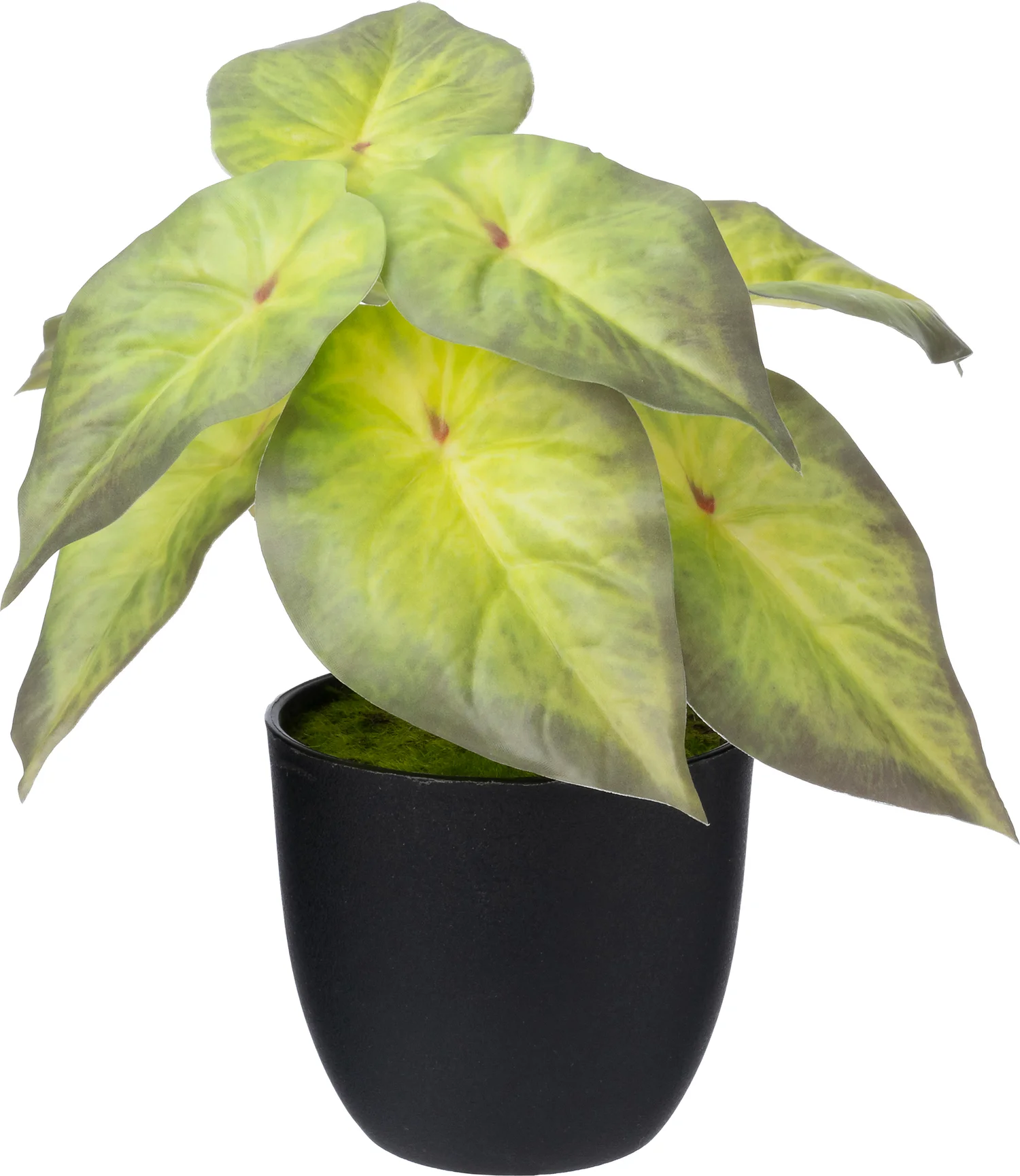 Intratuin kunstplant Pijlplant geel 16 x 15 x 16 cm