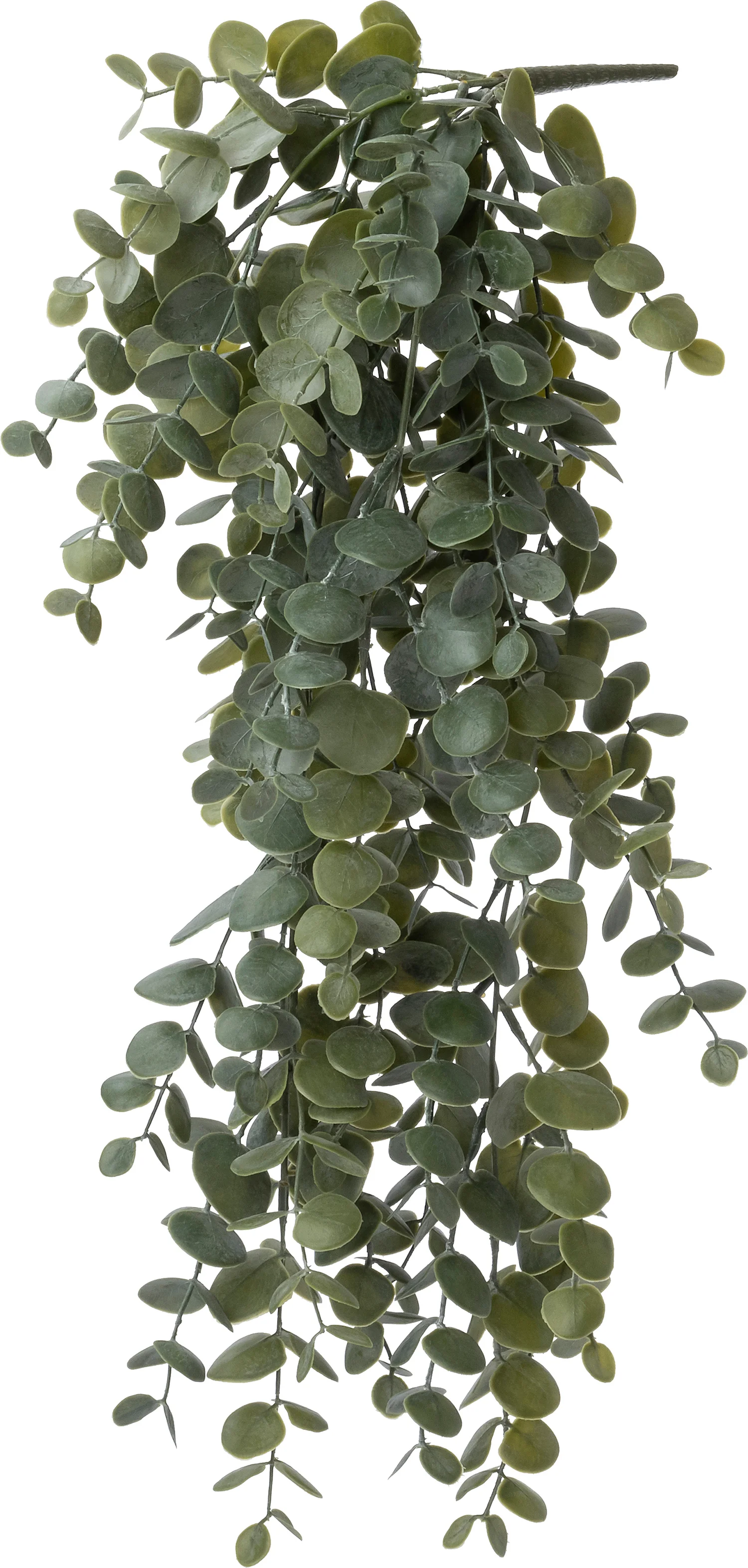 Intratuin kunsthangplant Gomboom groen 17 x 17 x 60 cm