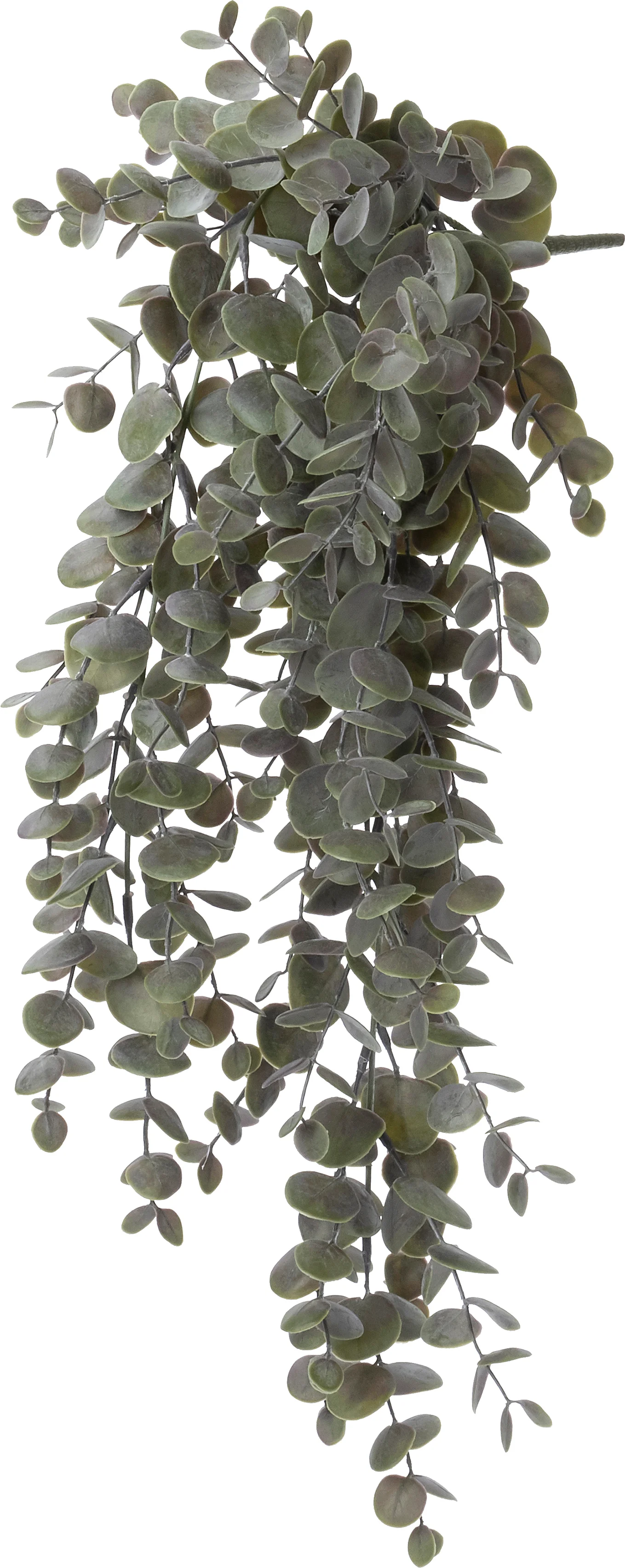 Intratuin kunsthangplant Gomboom paarsgroen 17 x 17 x 60 cm