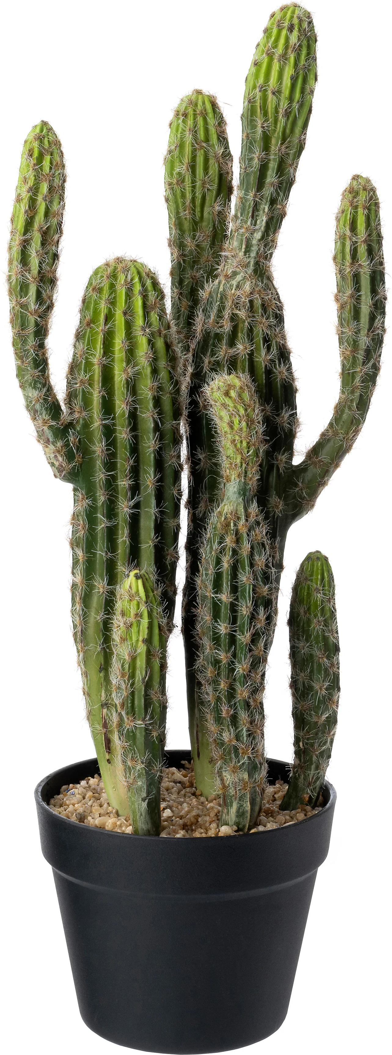 Intratuin kunstplant Cactus 22 x 17 x 60 cm