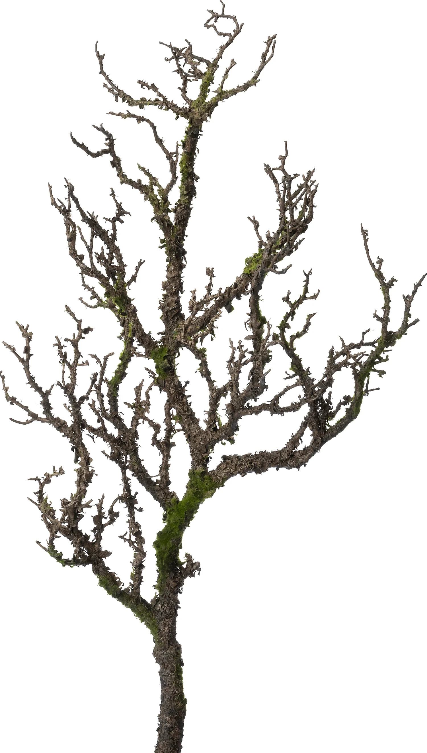 Intratuin Kunsttak met mos bruin H 81 cm