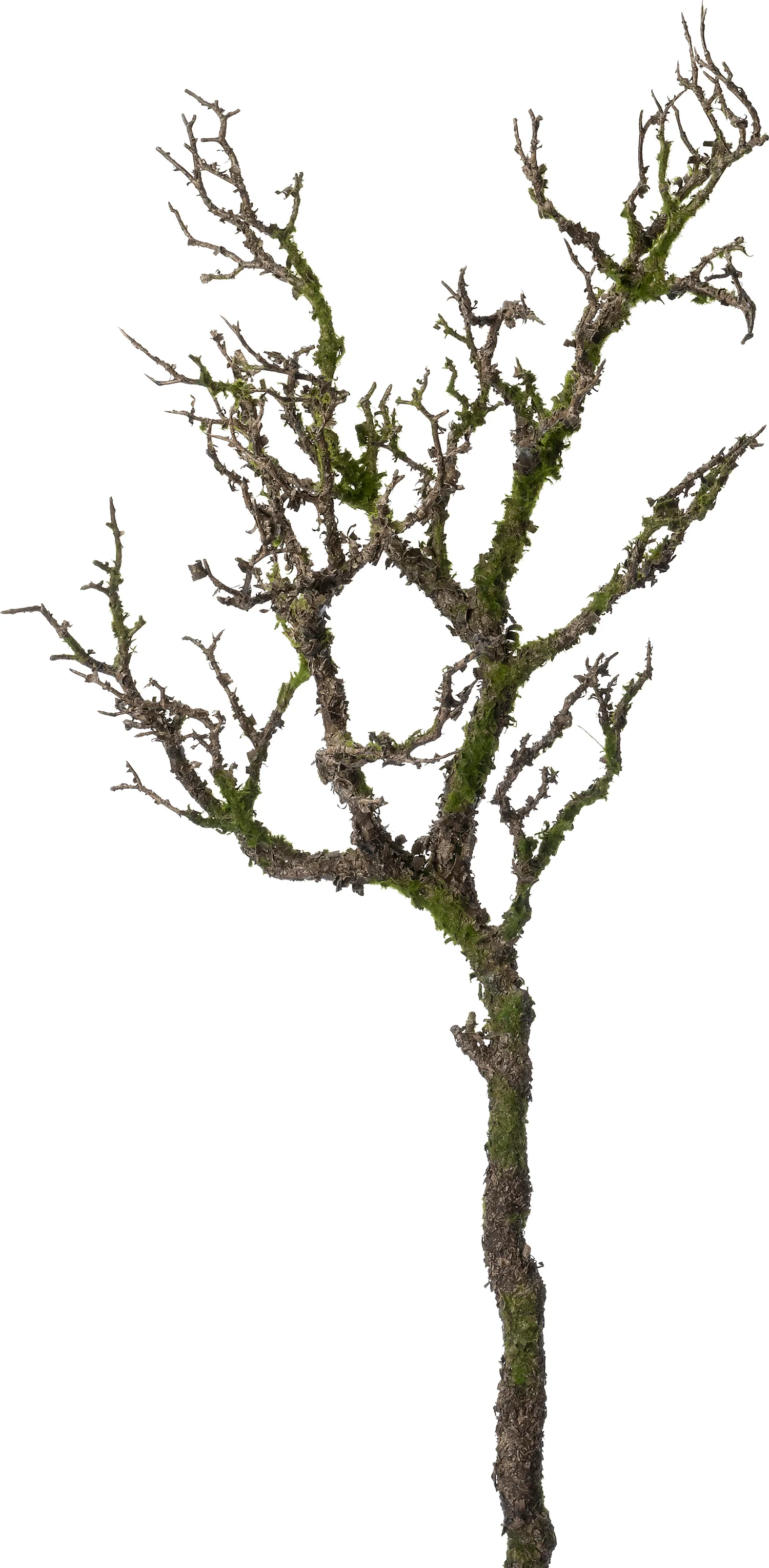 Intratuin kunsttak met mos bruin H 91 cm