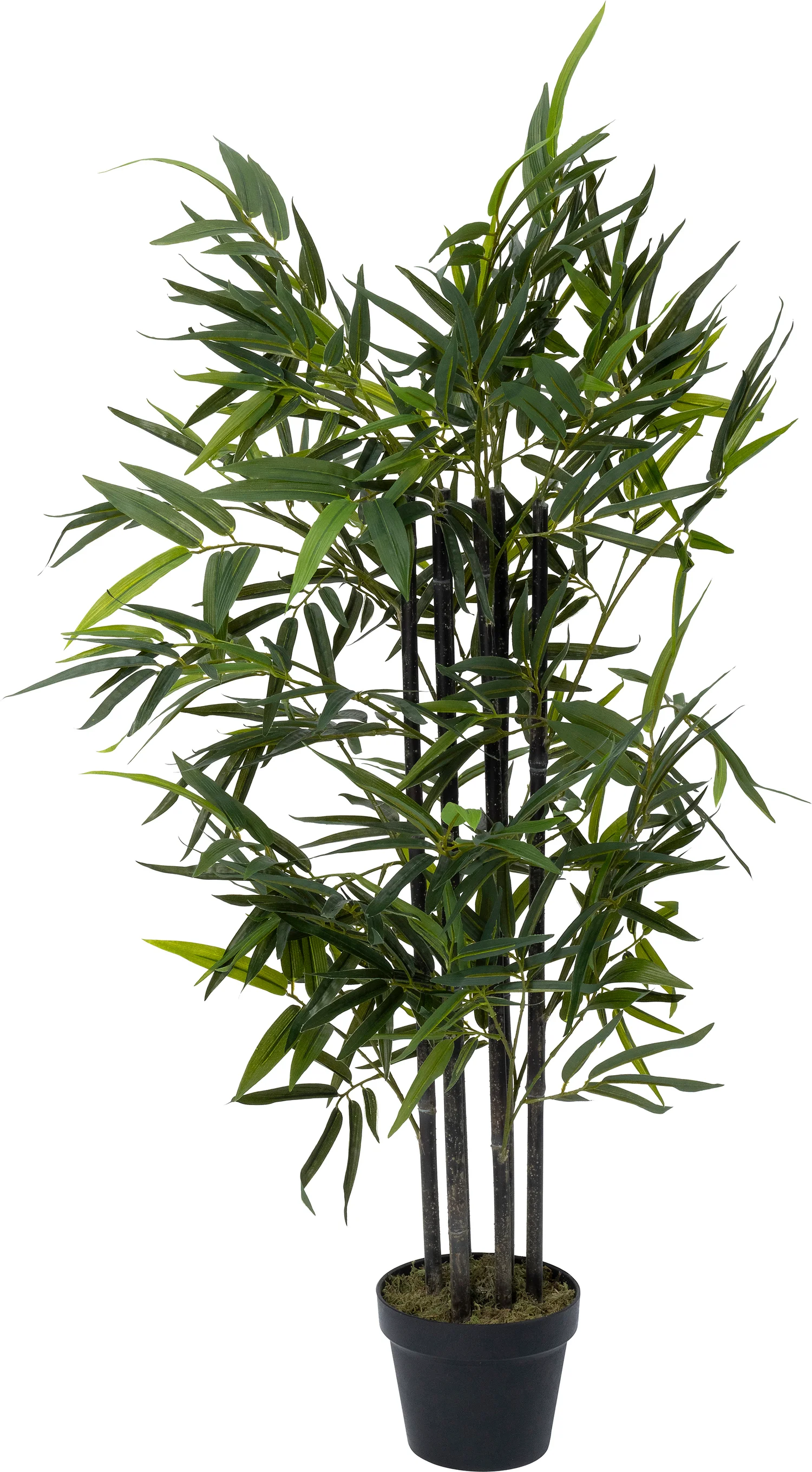 Intratuin kunstplant Bamboe zwart 45 x 45 x 120 cm