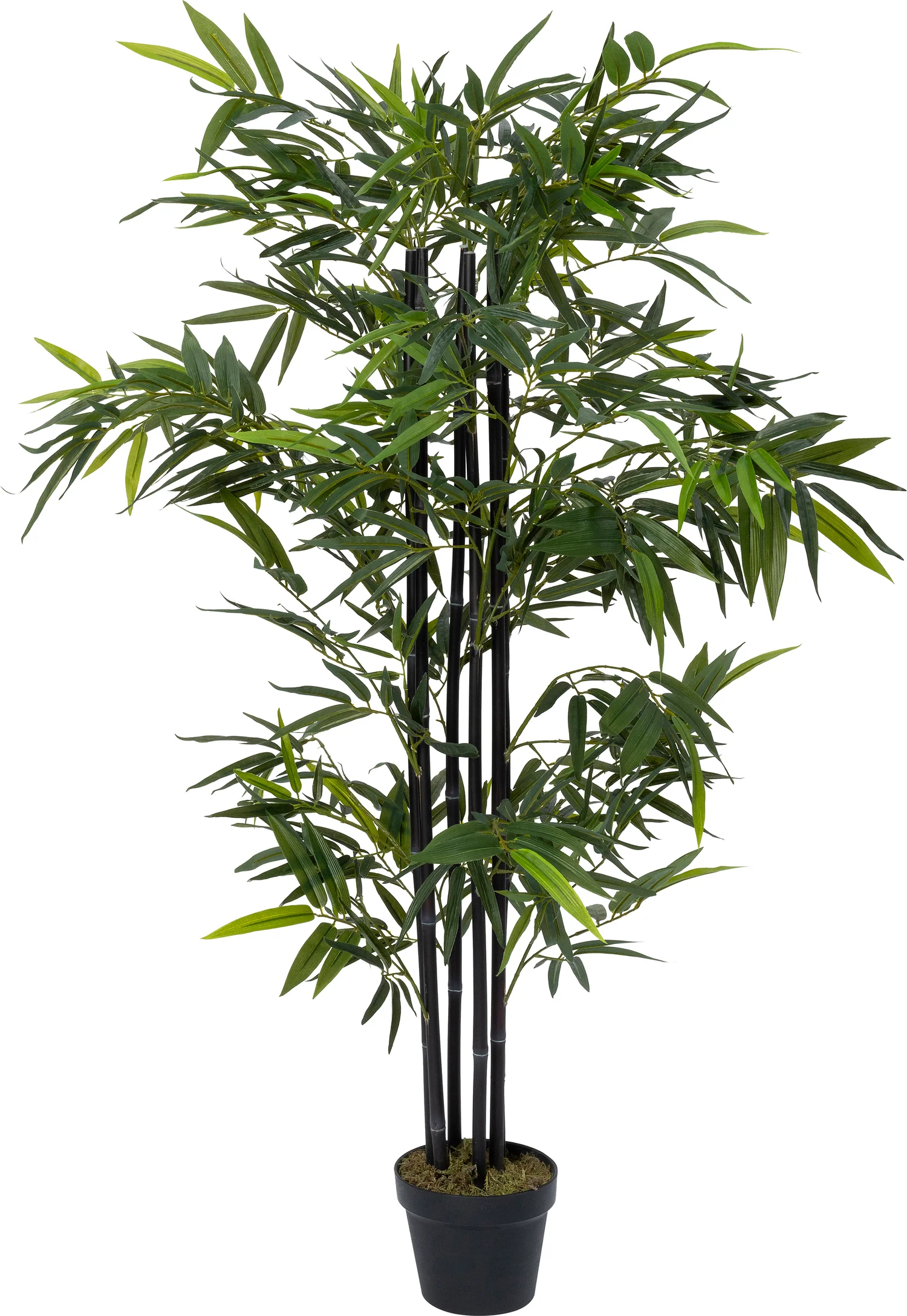 Intratuin kunstplant Bamboe zwart 45 x 45 x 150 cm