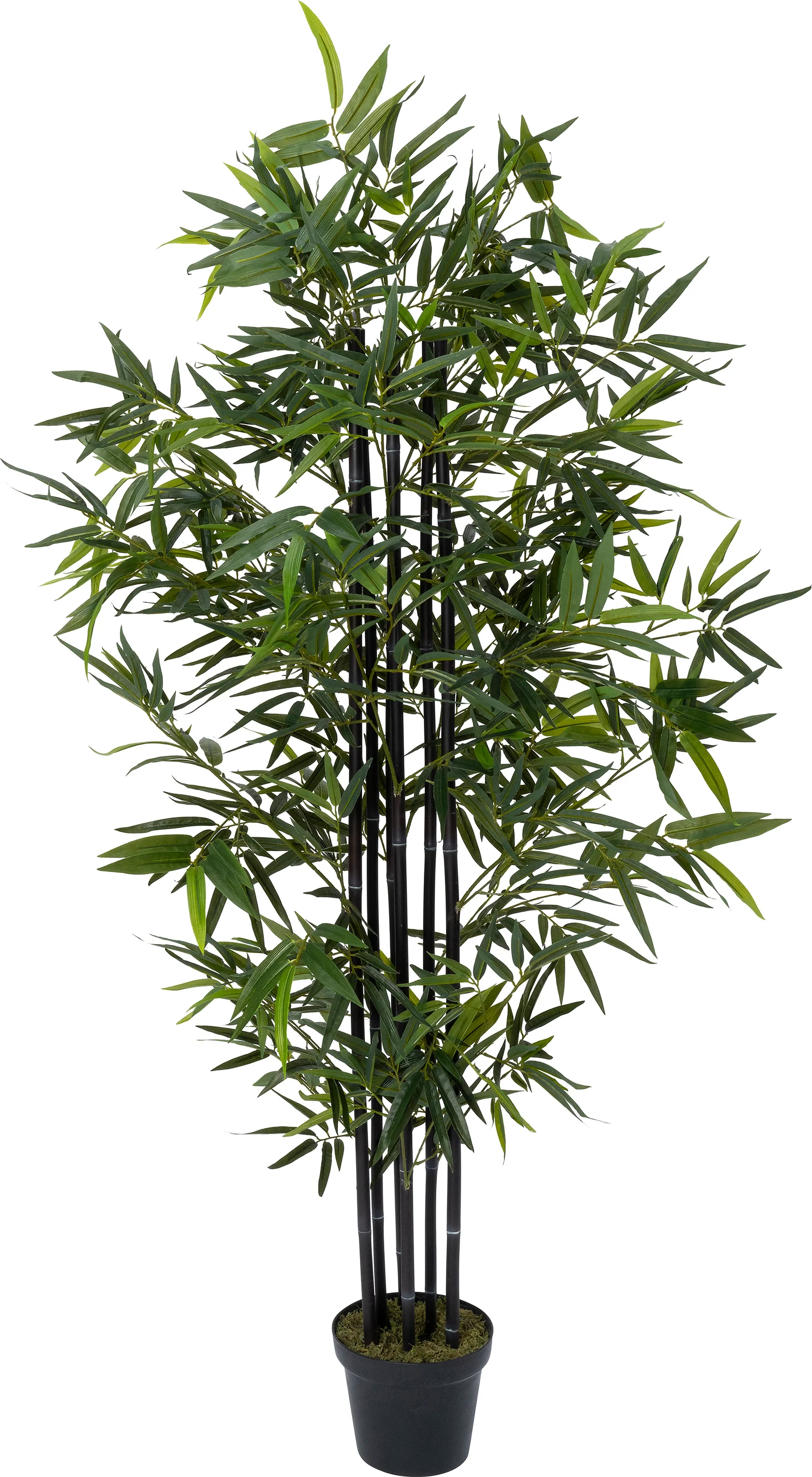 Intratuin kunstplant Bamboe zwart 50 x 50 x 170 cm