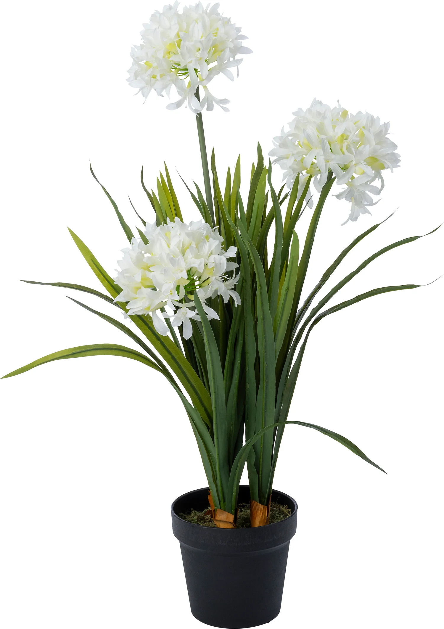 Intratuin kunstplant Afrikaanse lelie wit D 17 H 82 cm