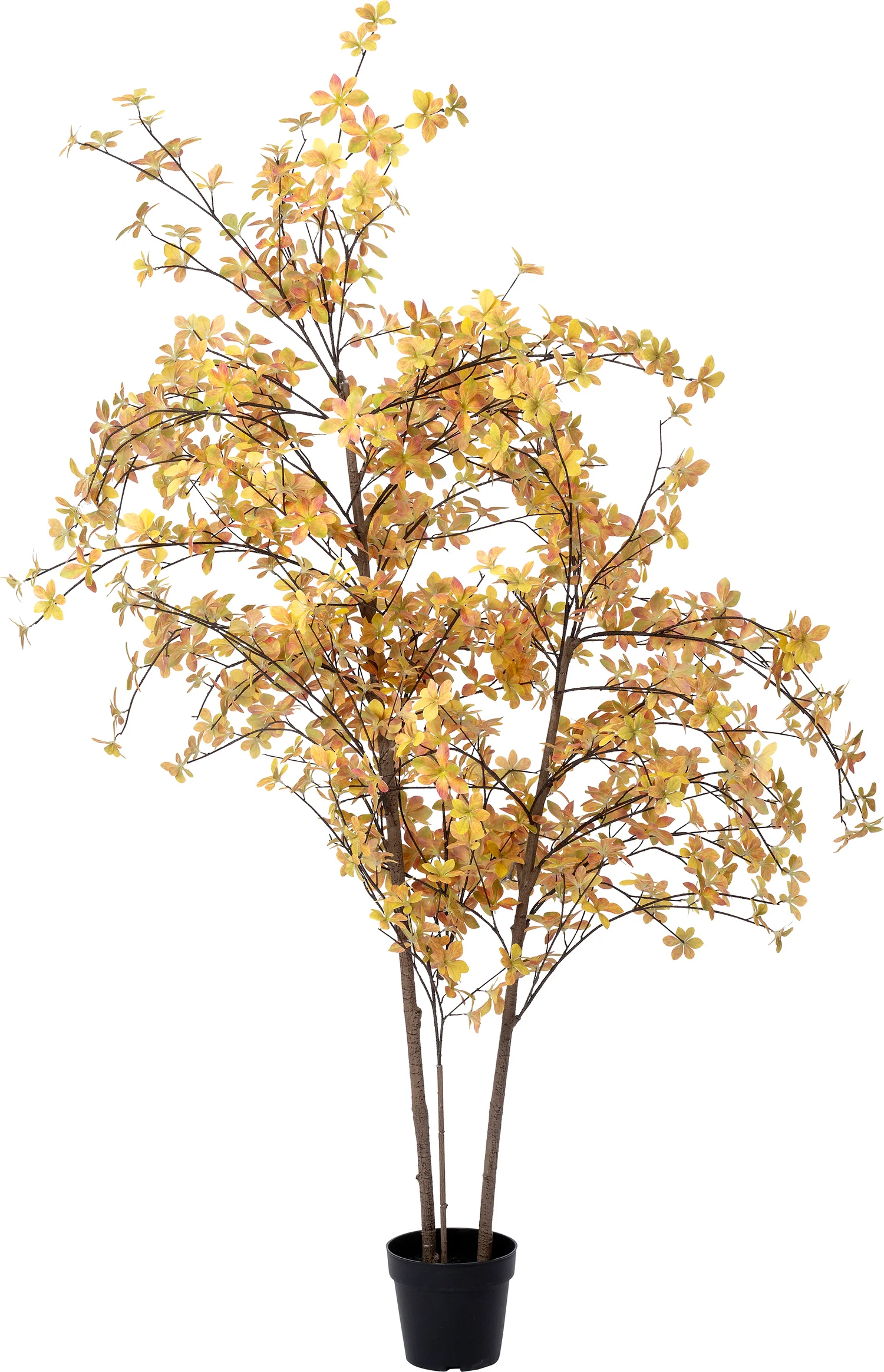 Intratuin kunstplant Enkianthus bruin D 21 H 175 cm