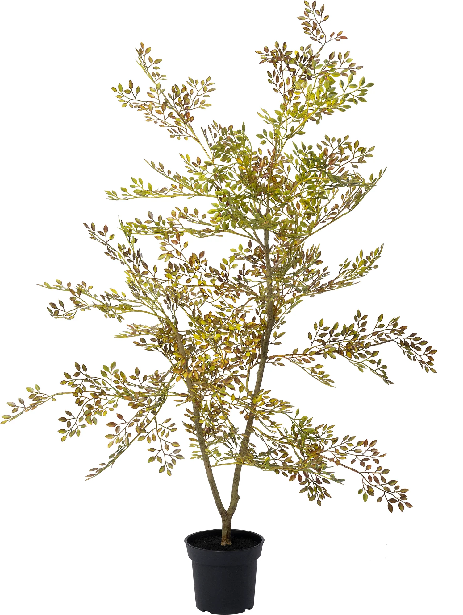 Intratuin kunstplant Moringaboom bruin / groen D 15 H 71 cm