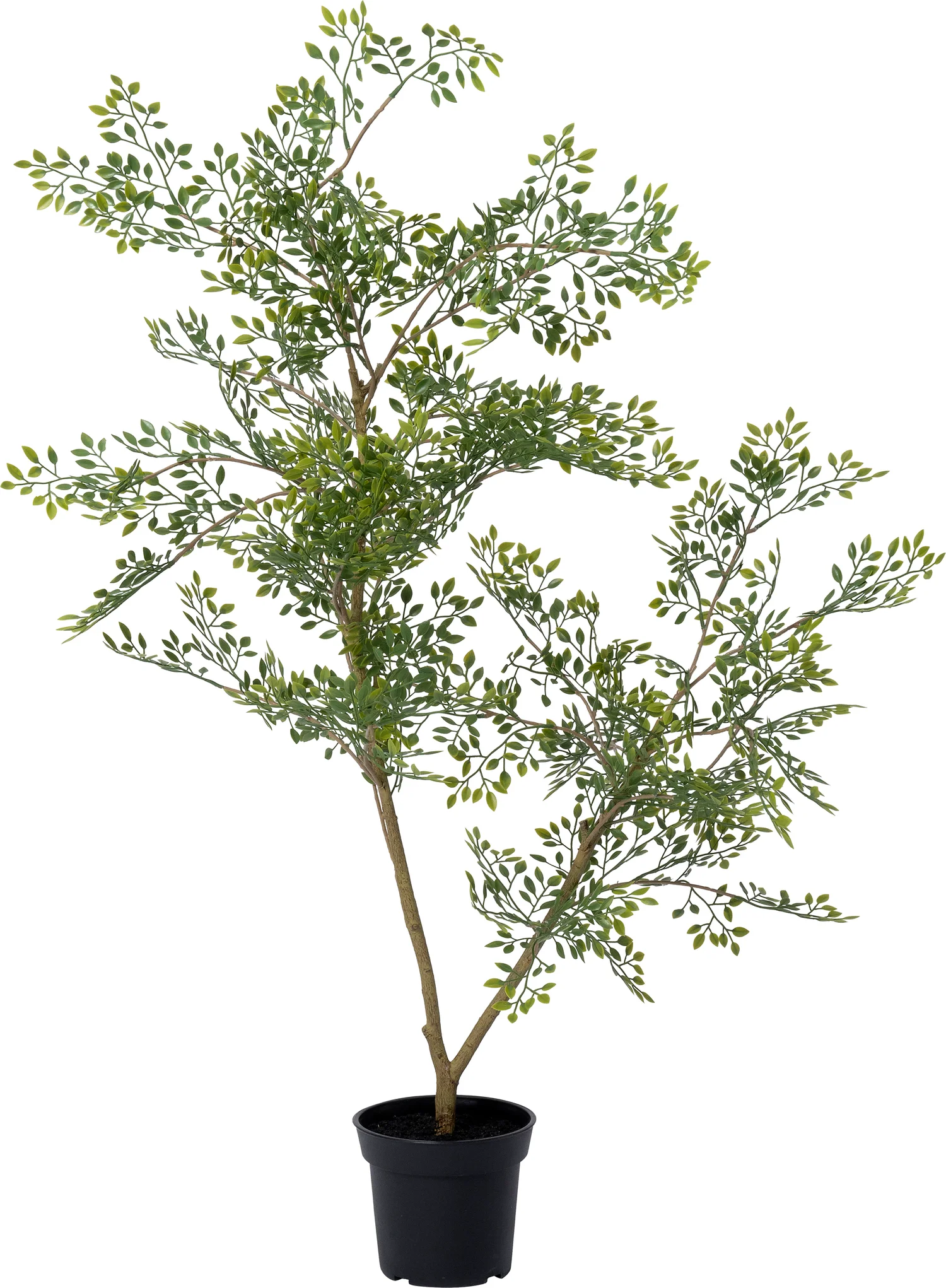Intratuin kunstplant Moringaboom D 80 H 71 cm