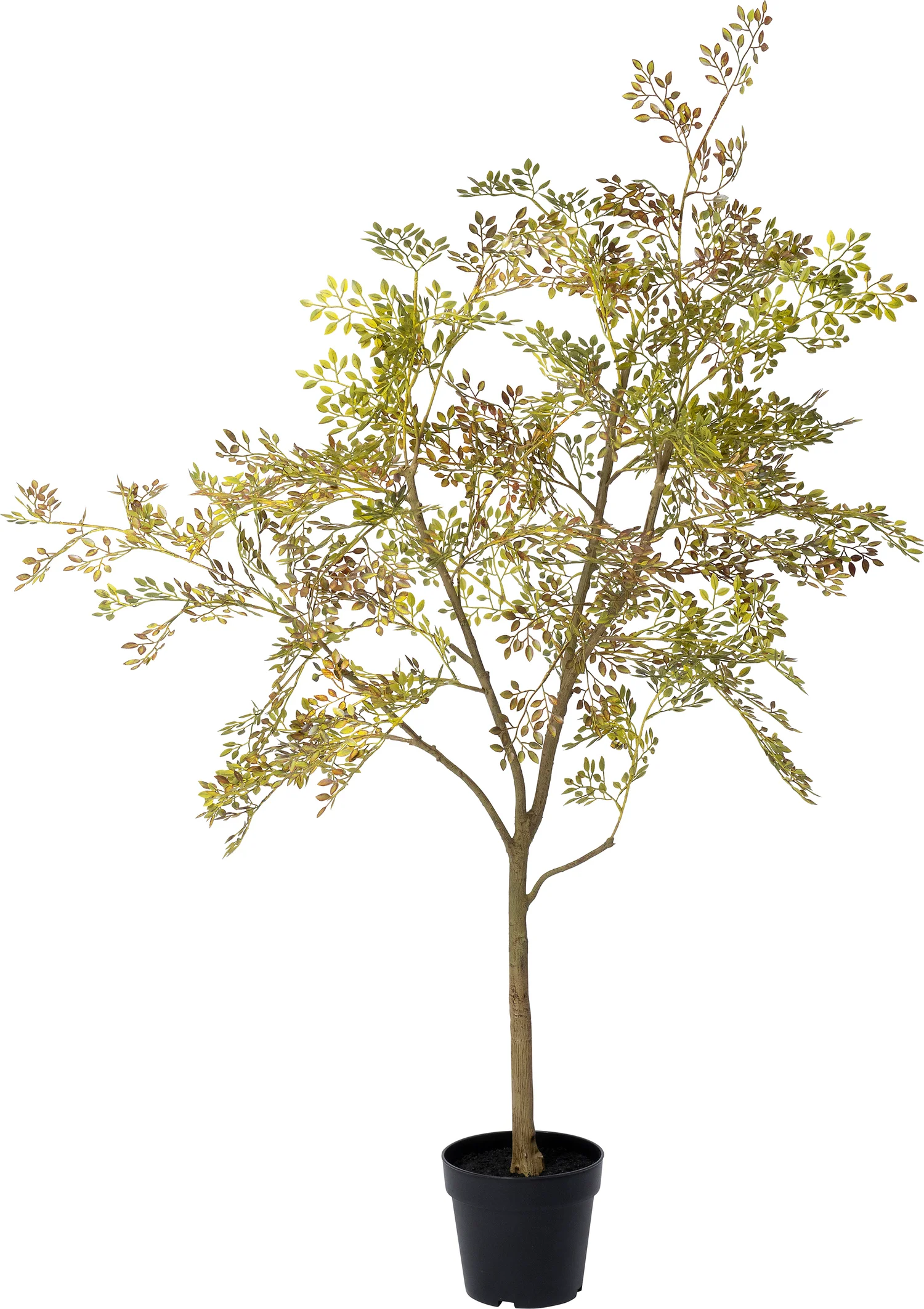 Intratuin kunstplant Moringaboom bruin / goud D 19 H 130 cm