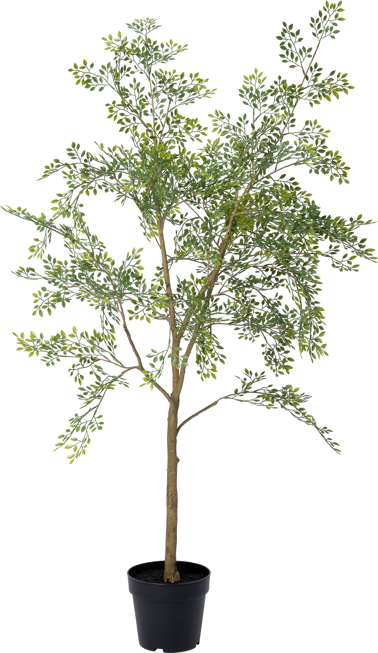 Intratuin kunstplant Moringaboom D 19 H 130 cm