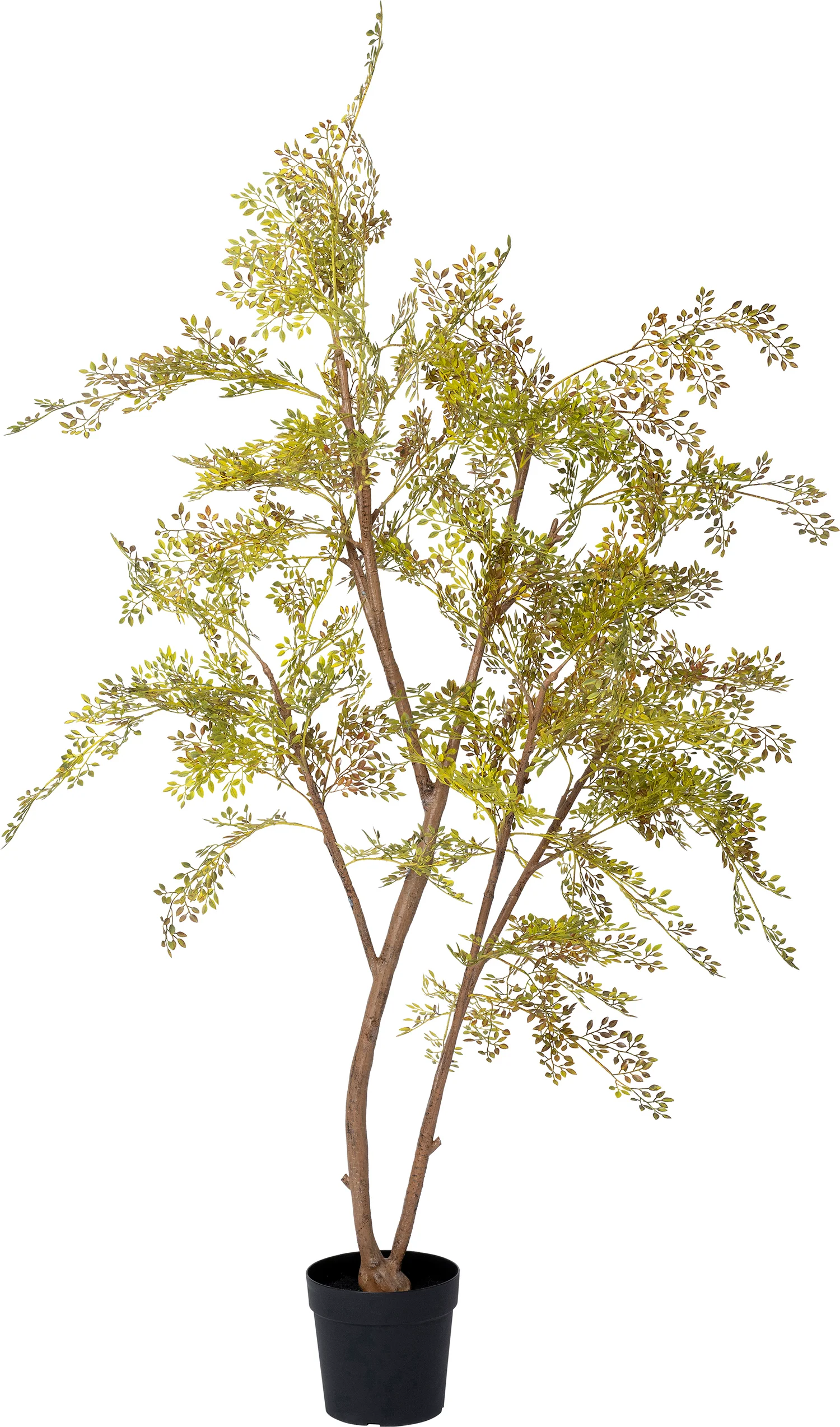 Intratuin kunstplant Moringaboom bruin / groen D 23 H 200 cm