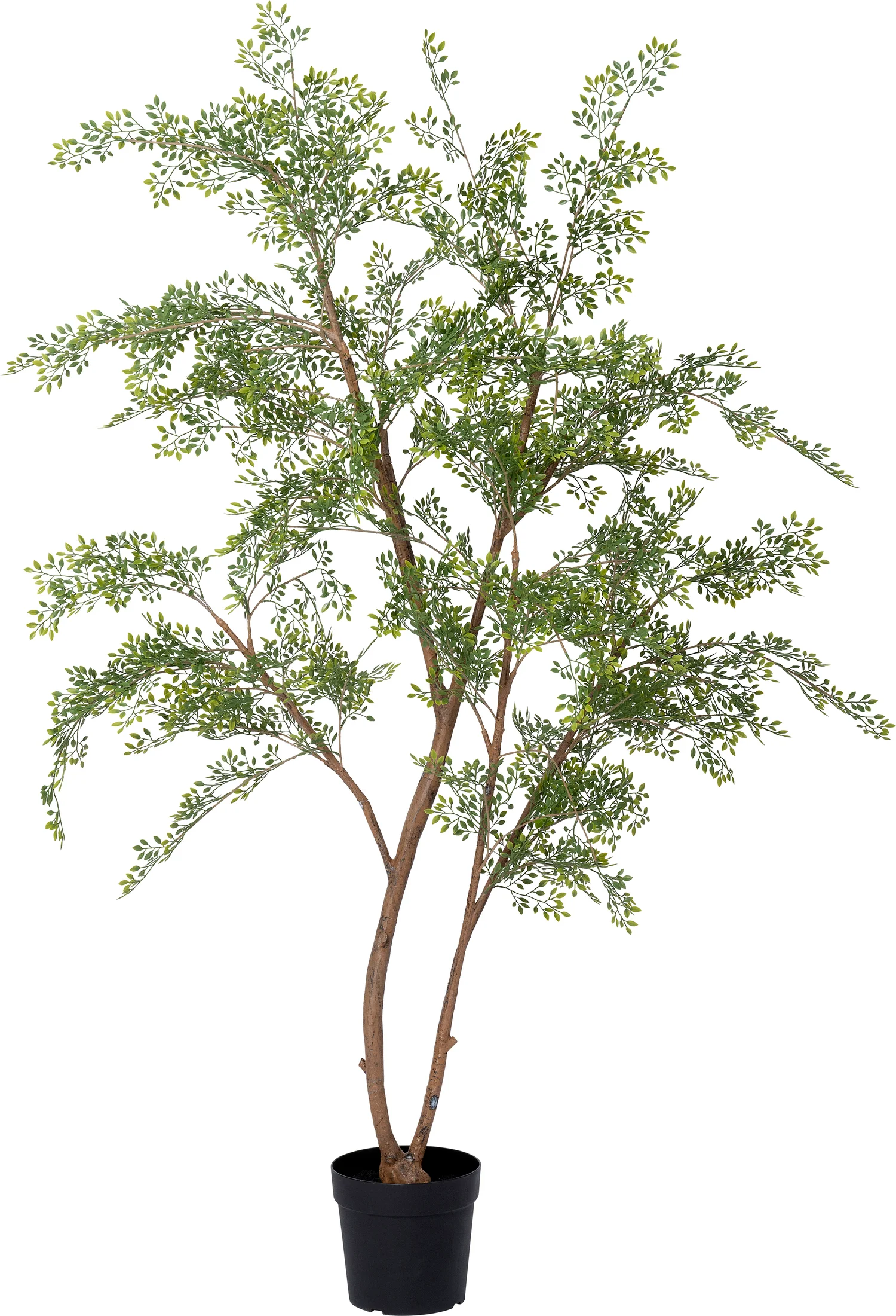 Intratuin kunstplant Moringaboom  D 23 H 200 cm