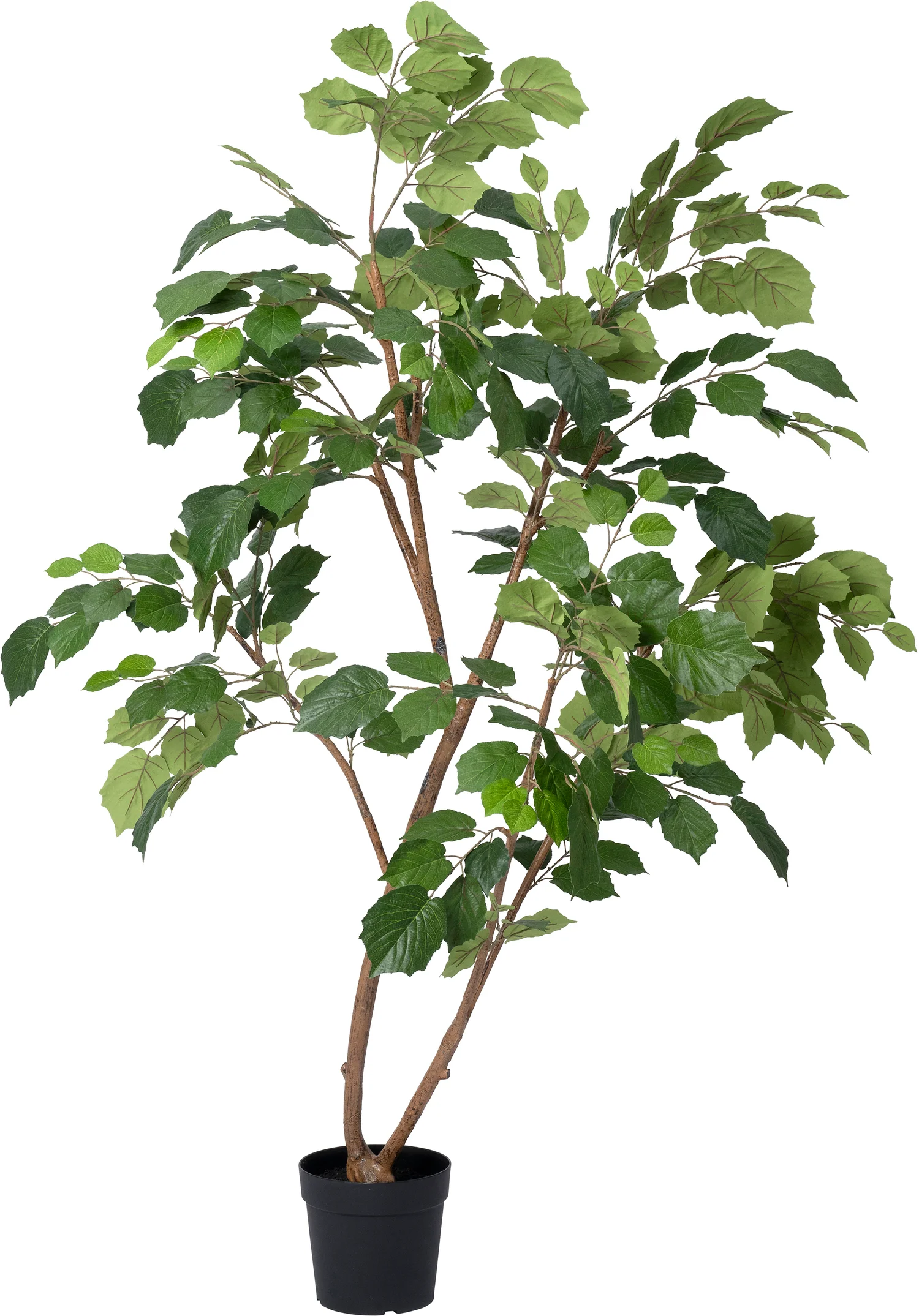 Intratuin kunstplant Druivenplant  D 23 H 185 cm