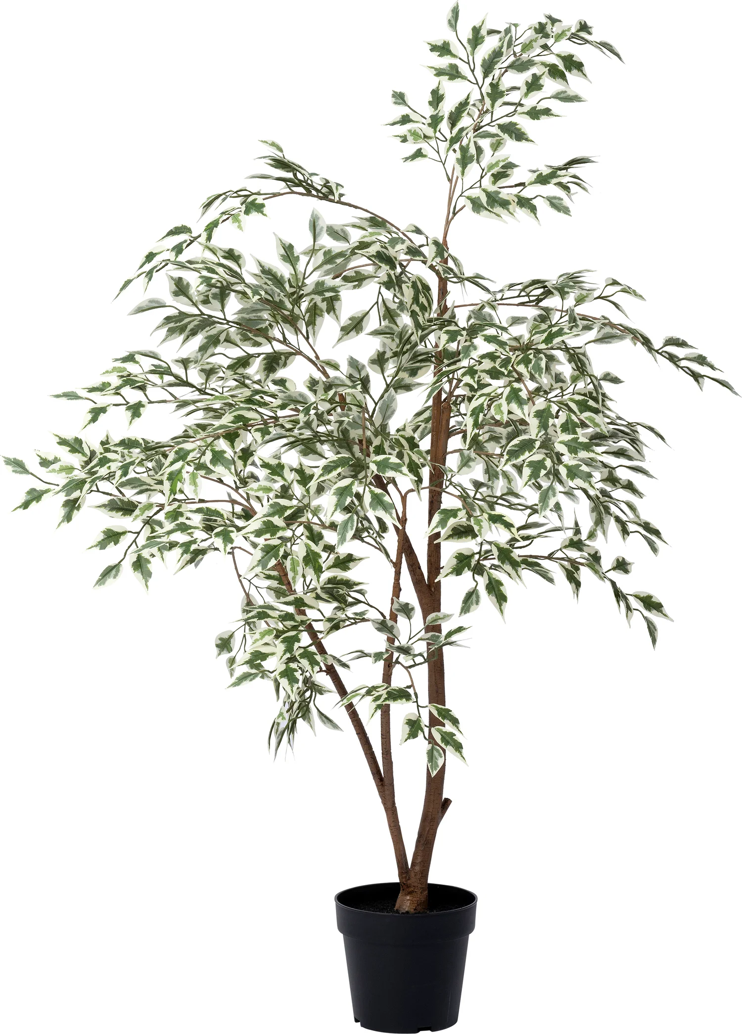 Intratuin kunstplant Bonte Treurvijg groen / wit D 19 H 120 cm