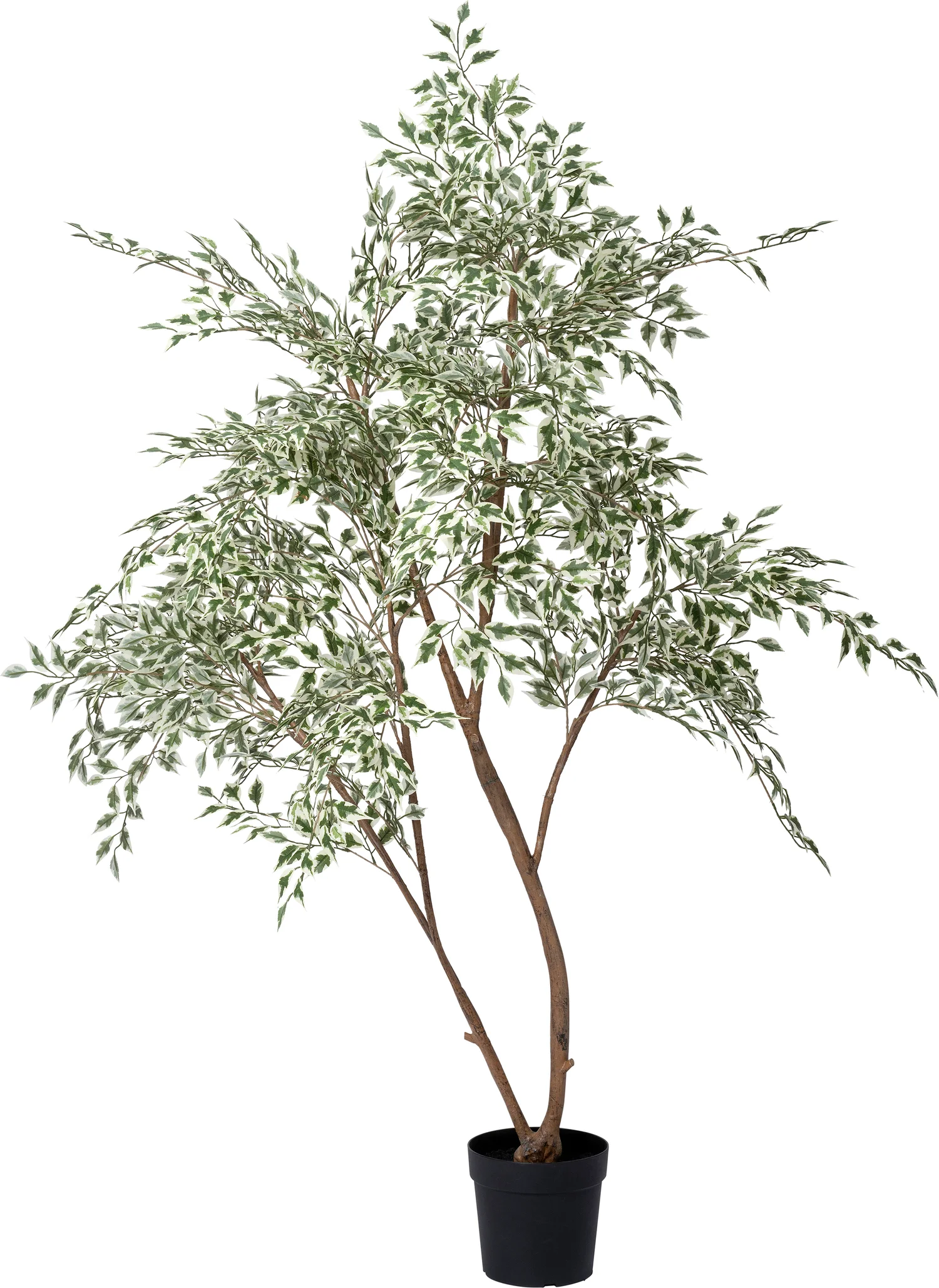 Intratuin kunstplant Bonte Treurvijg groen / wit D 23 H 185 cm