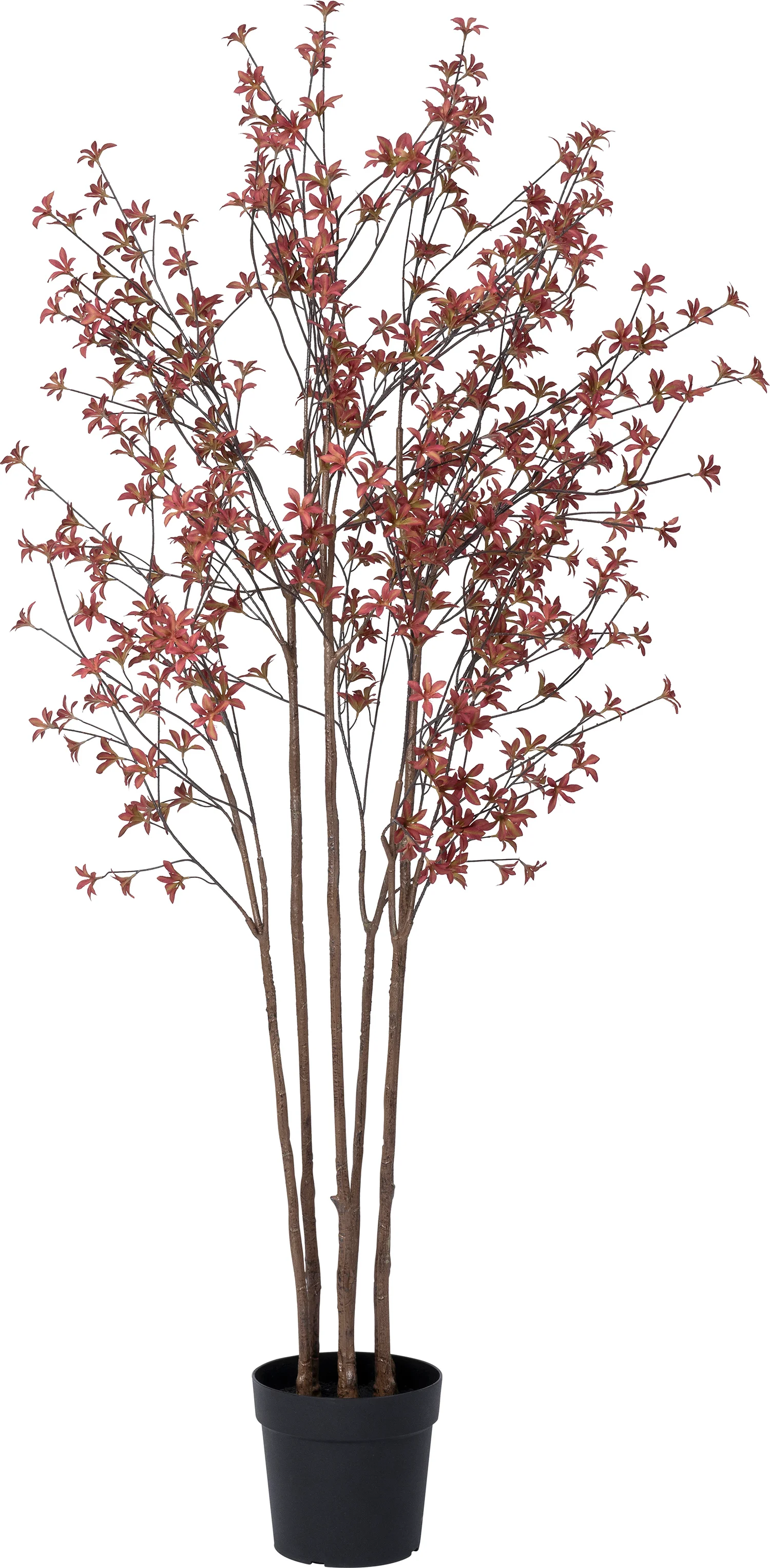 Intratuin kunstplant Enkianthus rood D 23 H 180 cm