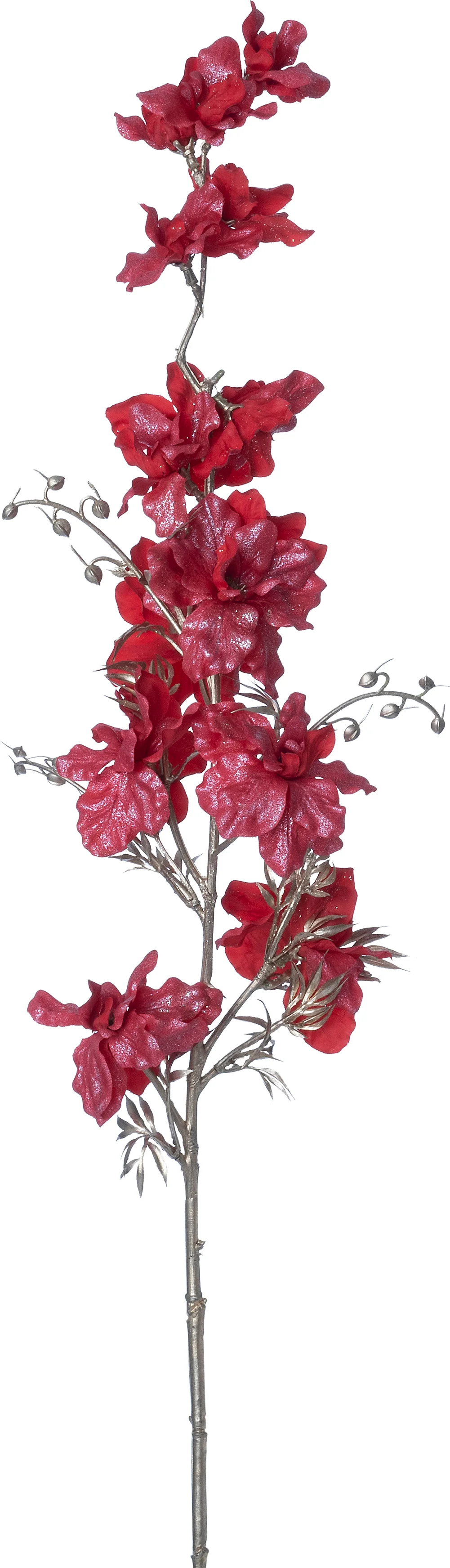Intratuin kerstbloem Ridderspoor rood H 97 cm