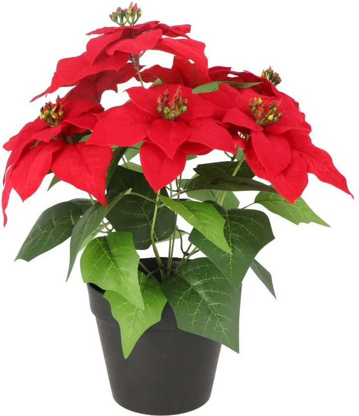 Intratuin kunstplant Kerstster rood  D 15,5 H 43 cm