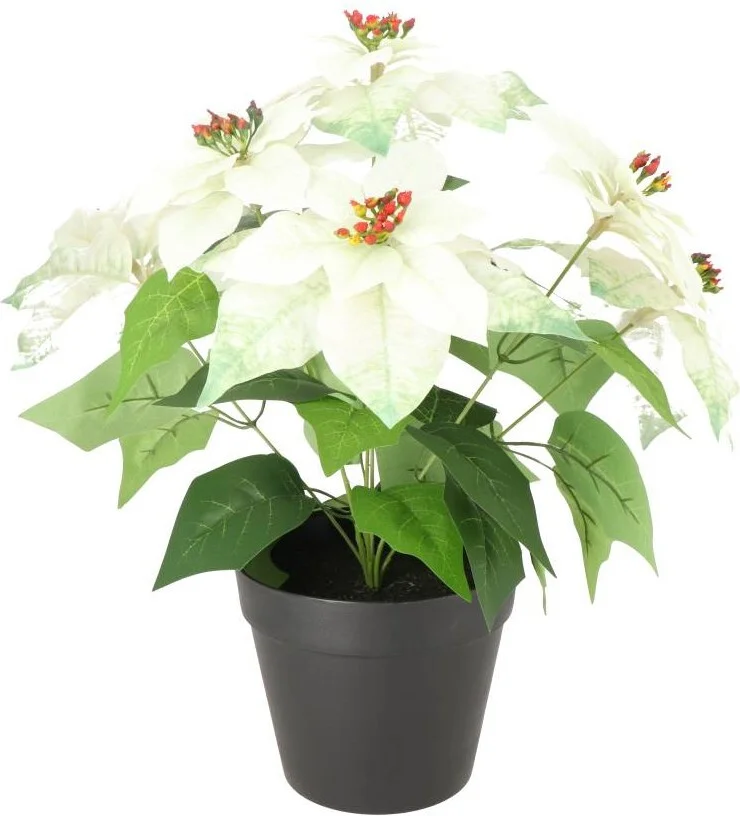 Intratuin kunstplant Kerstster wit  D 15,5 H 43 cm